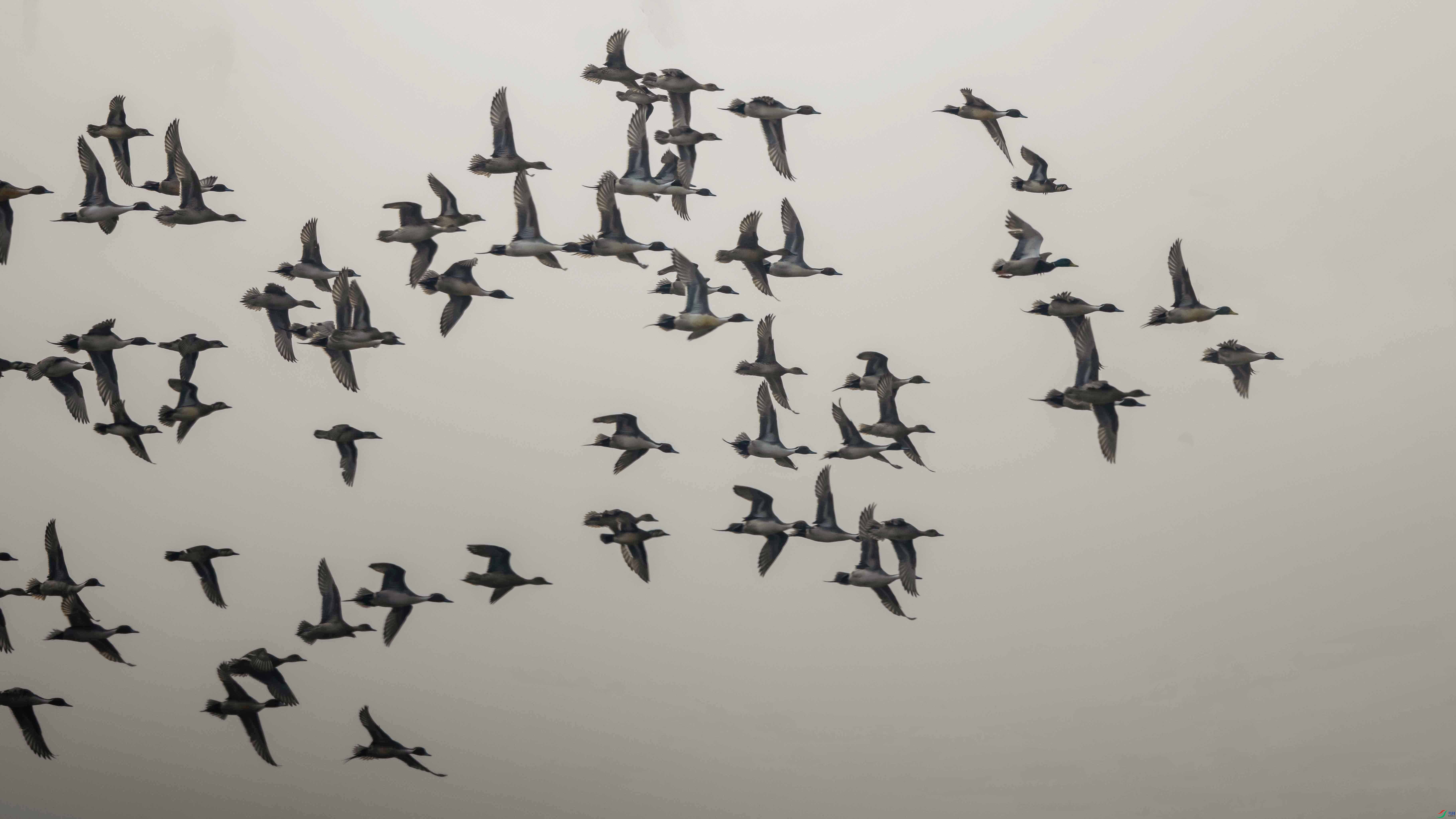 _LYF4084 ���� 2.jpg