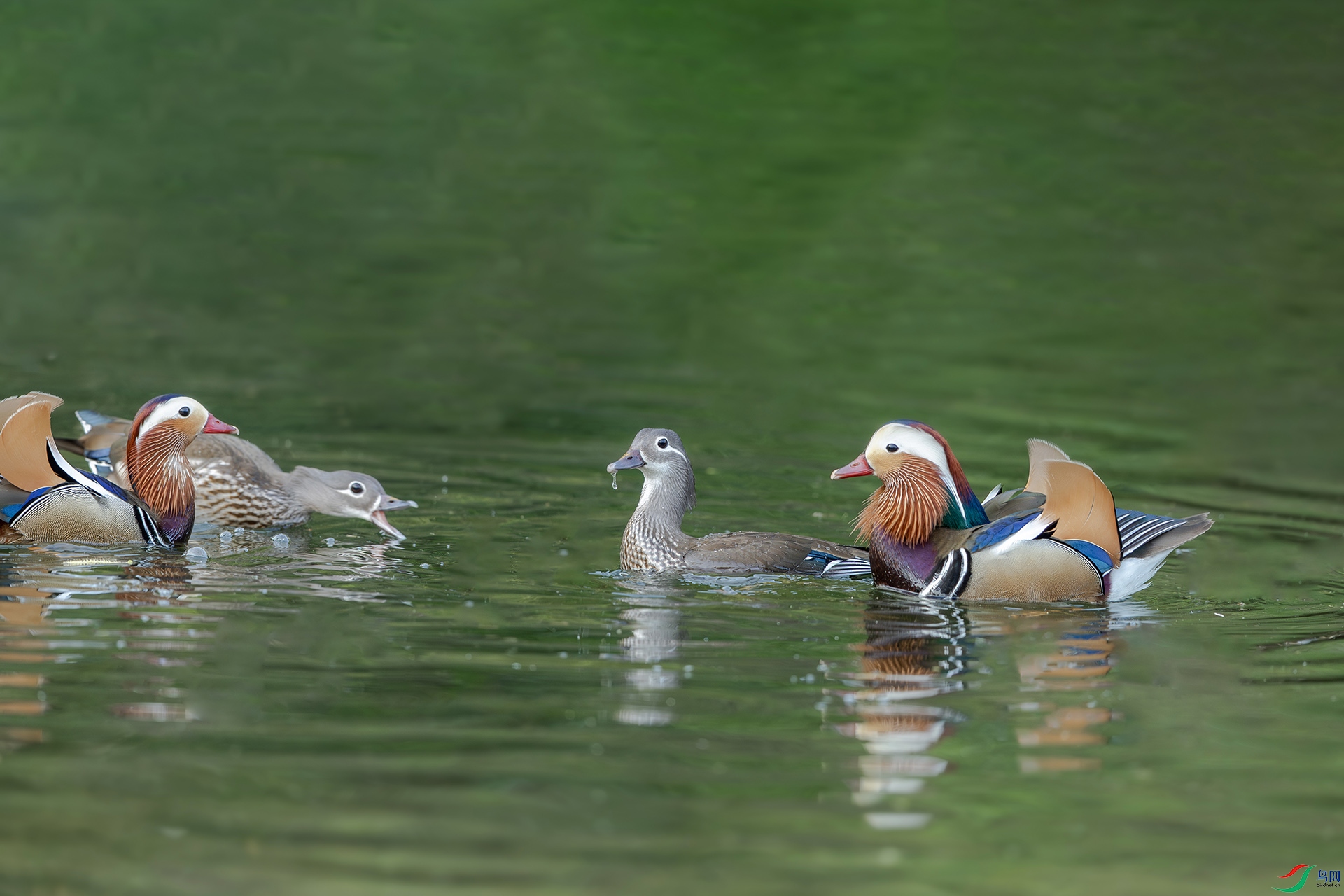 1I9A6924-1ab.jpg