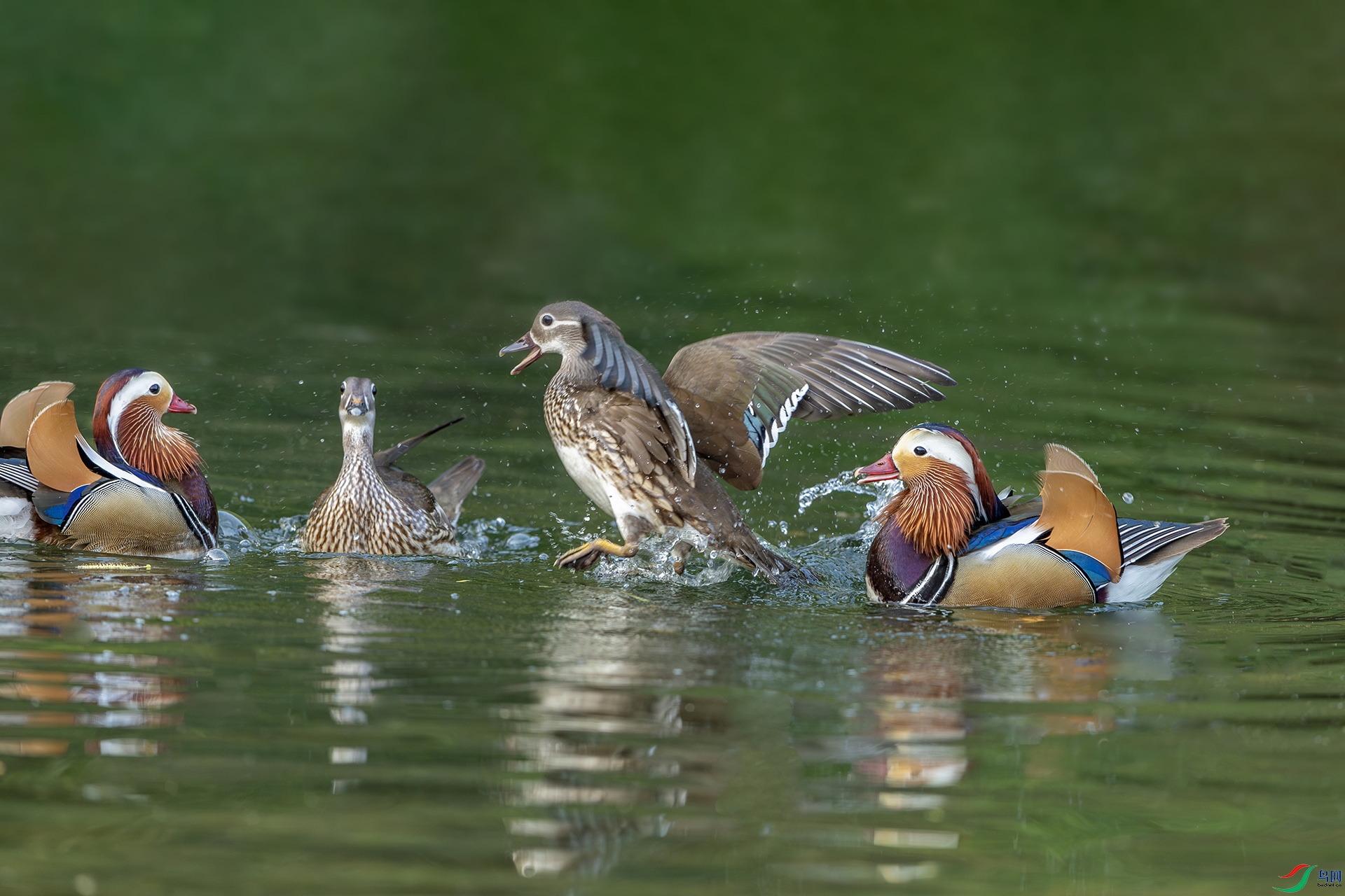 1I9A6925-1ab.jpg