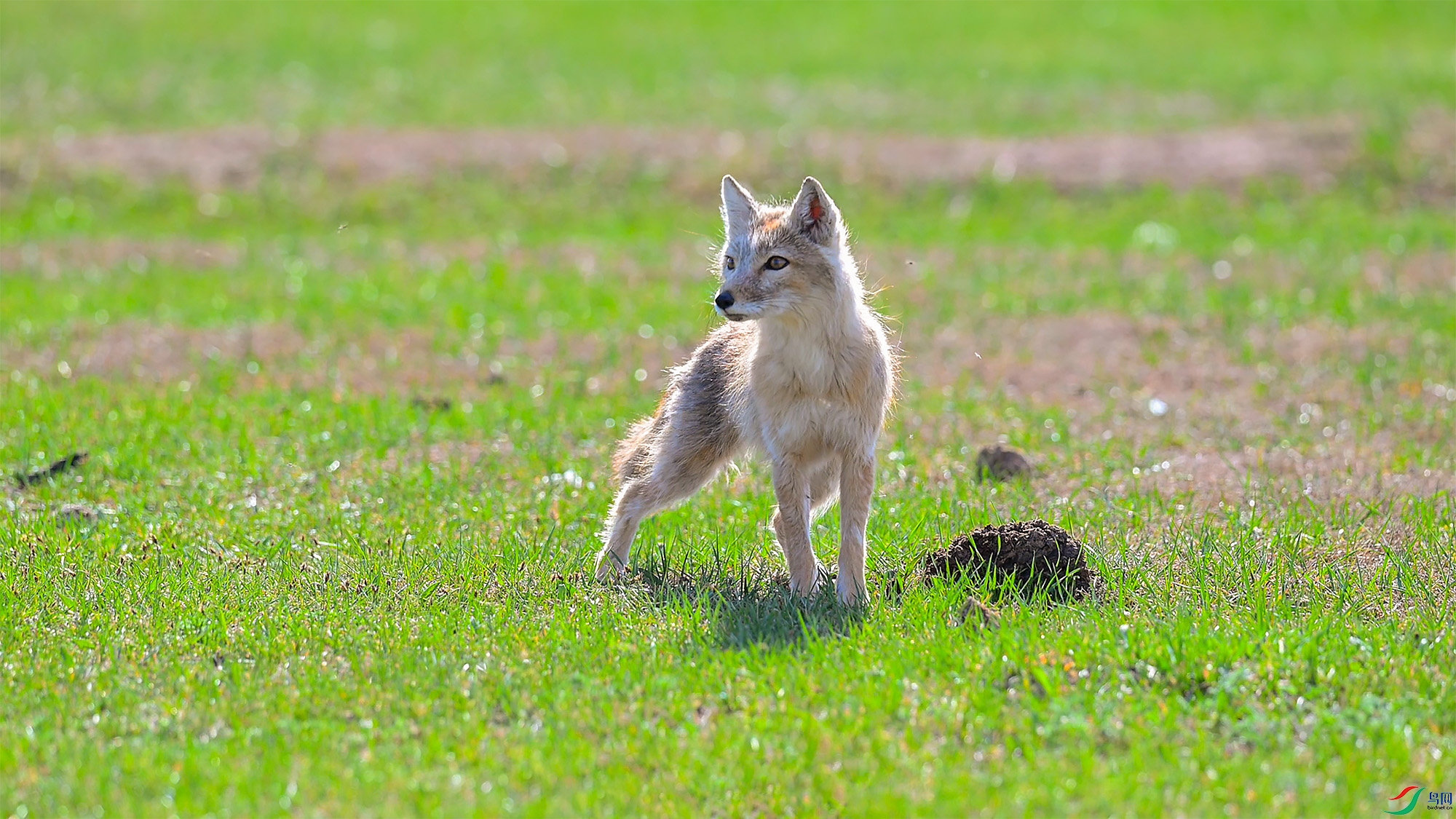 6��25�� (1).jpg