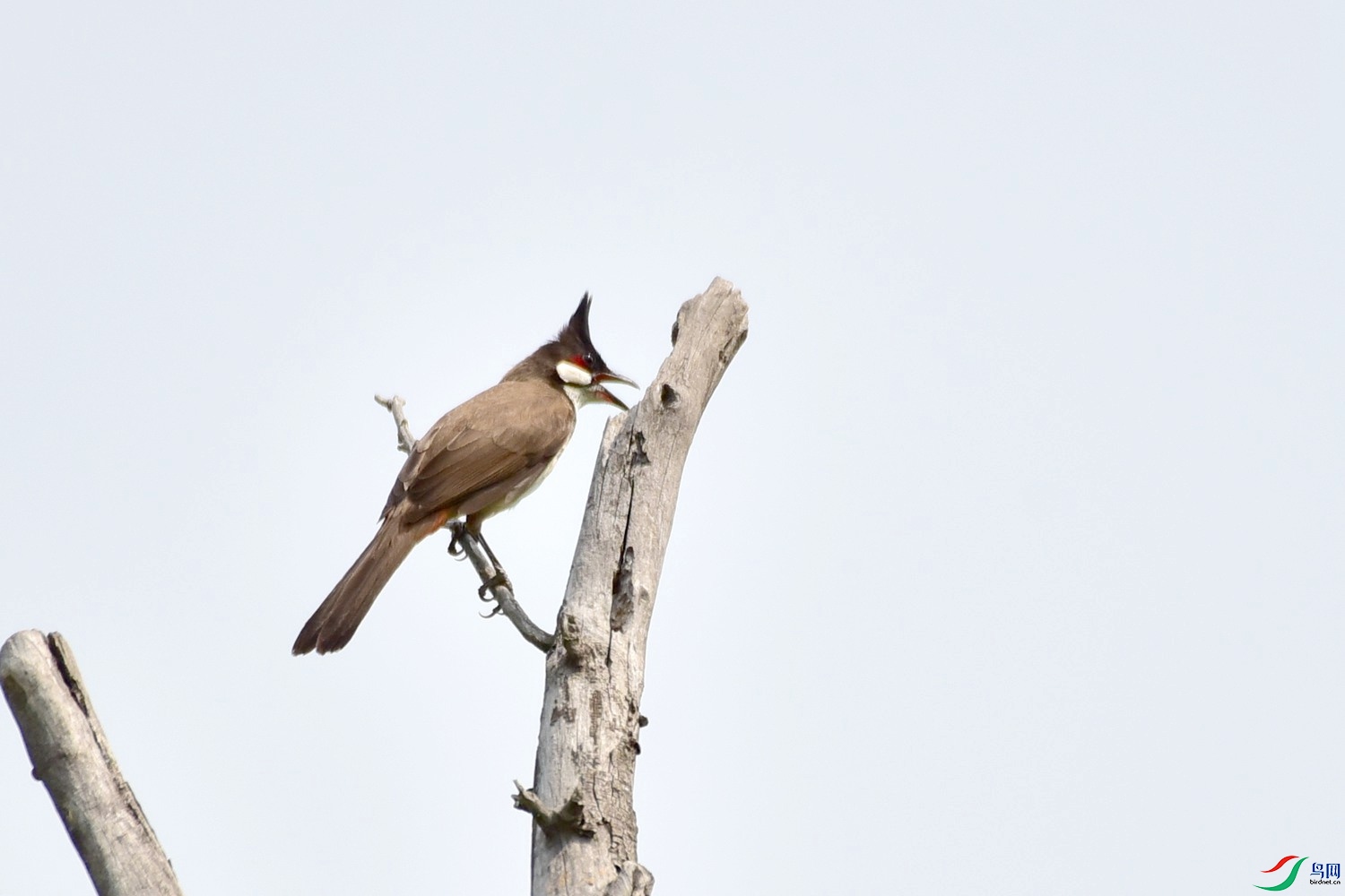 DSC_1834.JPG