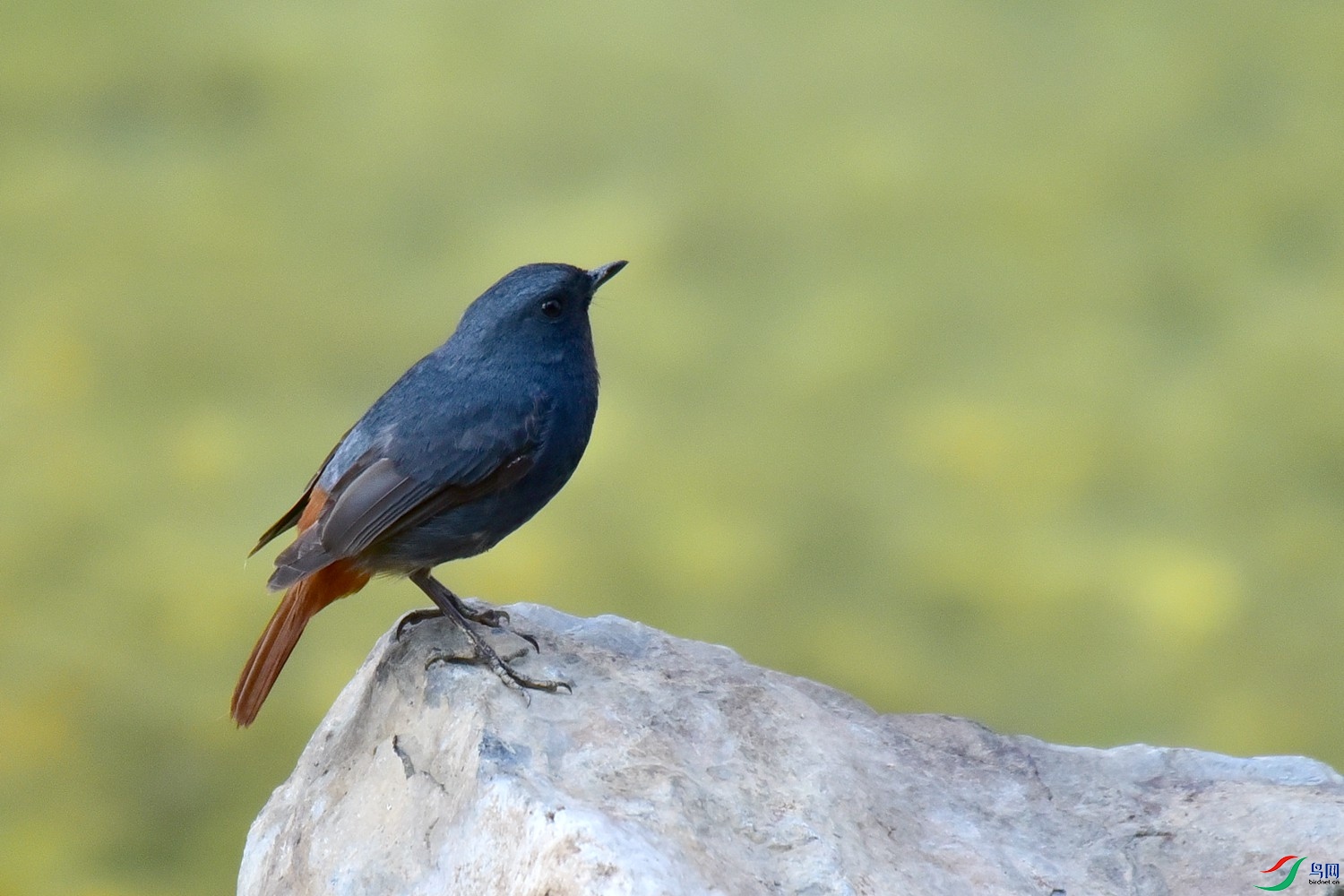 DSC_7393.JPG