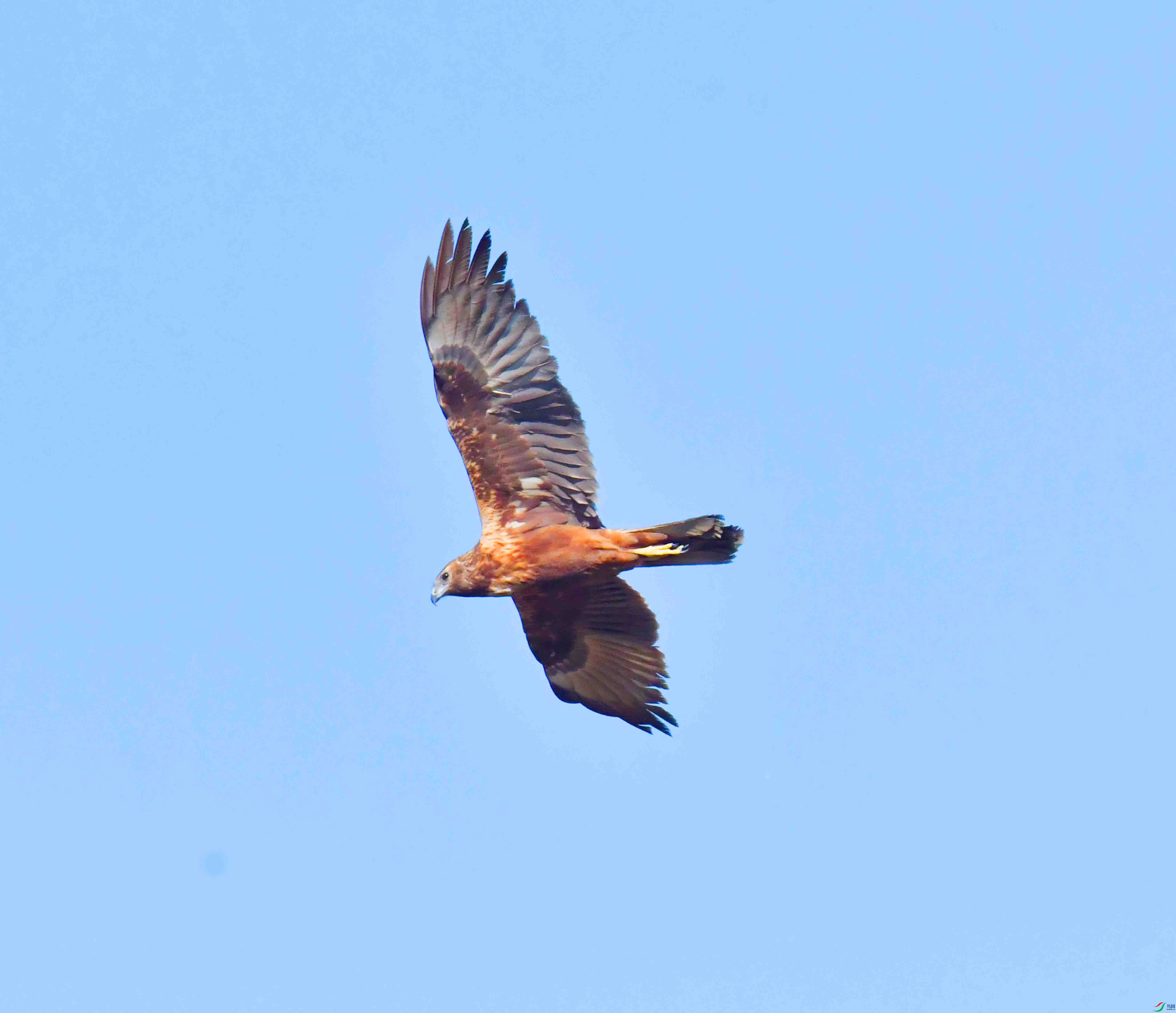 DSC_8212.JPG