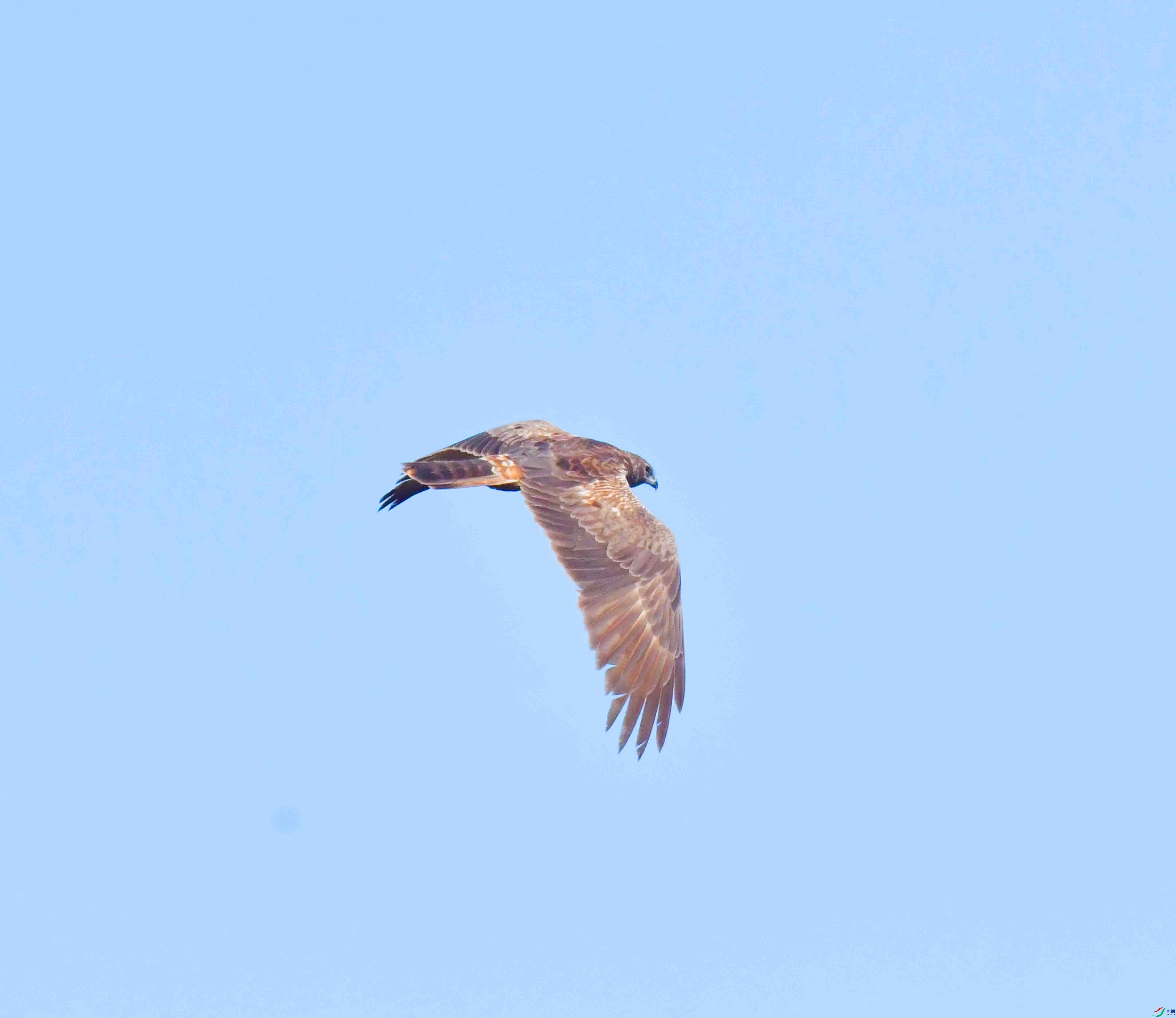 DSC_8199.JPG