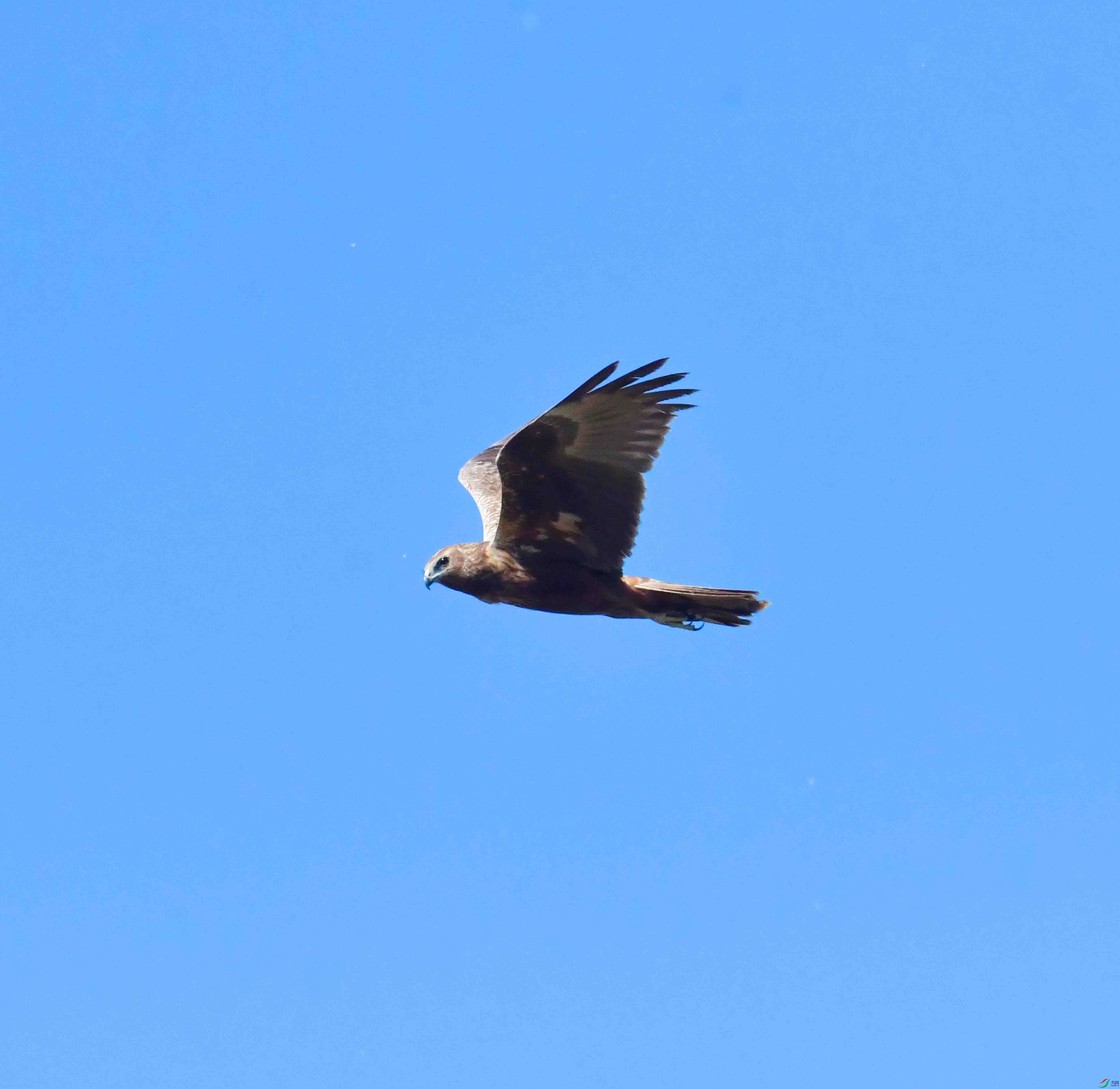 DSC_8235.JPG