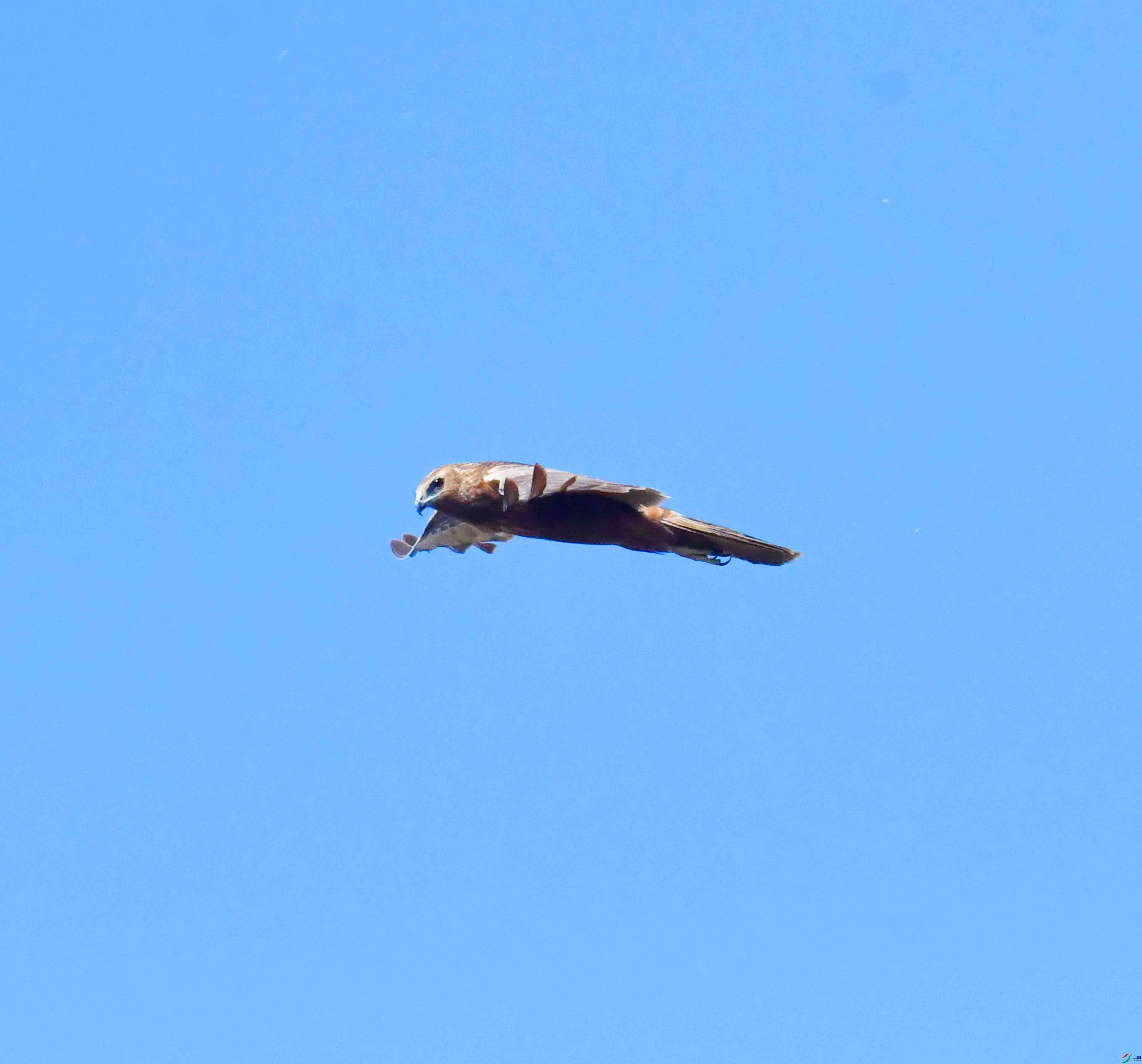 DSC_8236.JPG