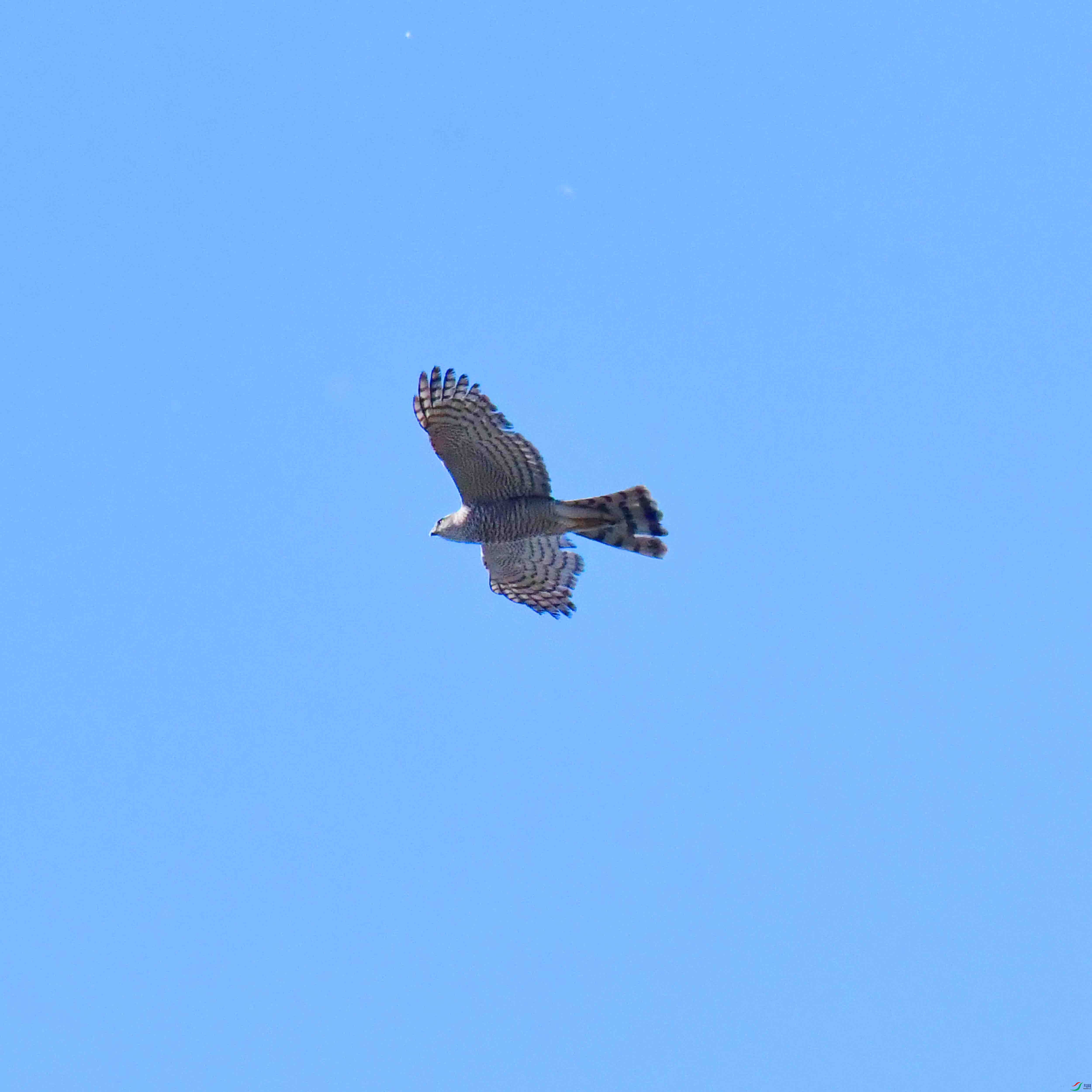 DSC_8256.JPG