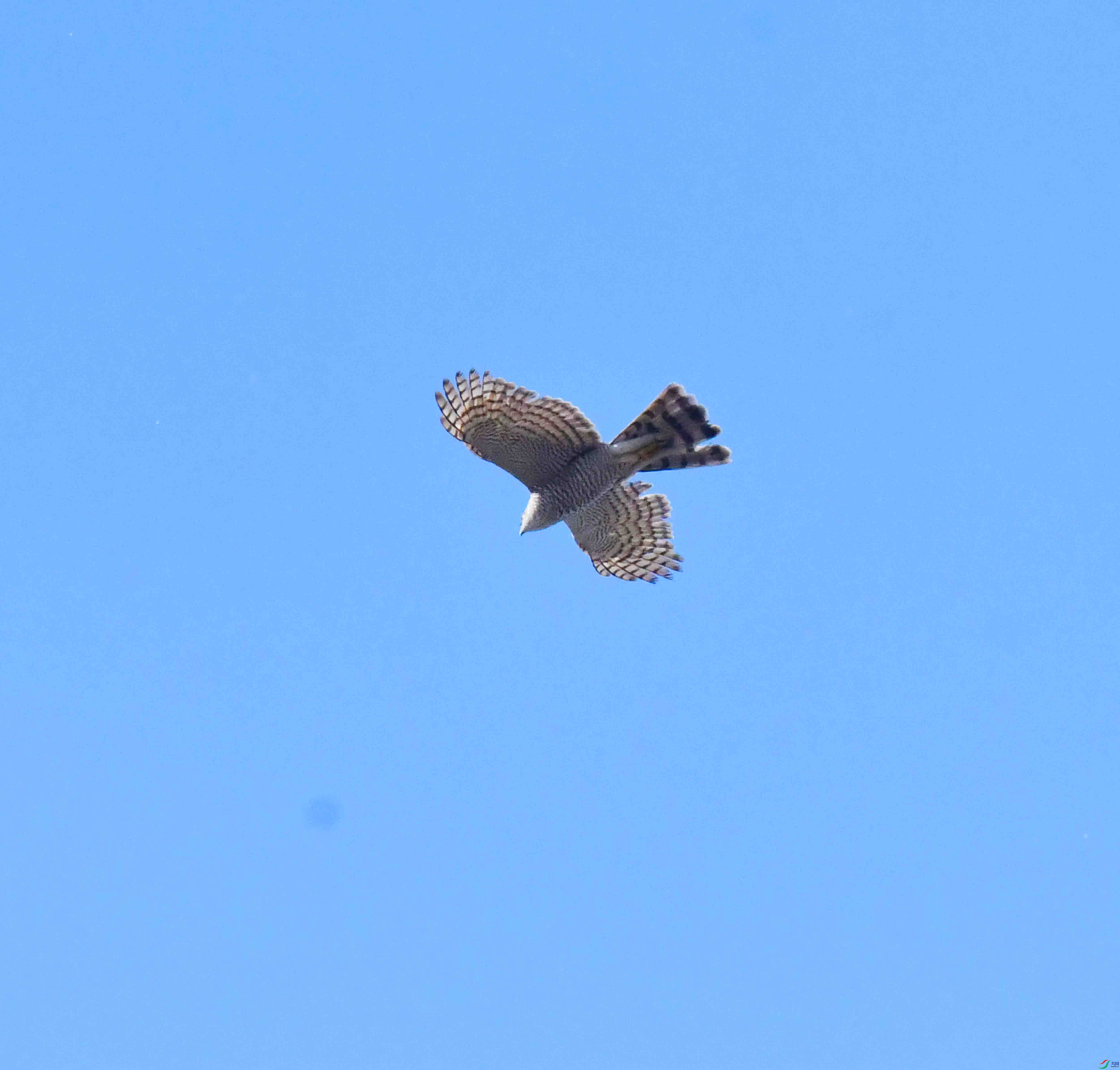 DSC_8252.JPG