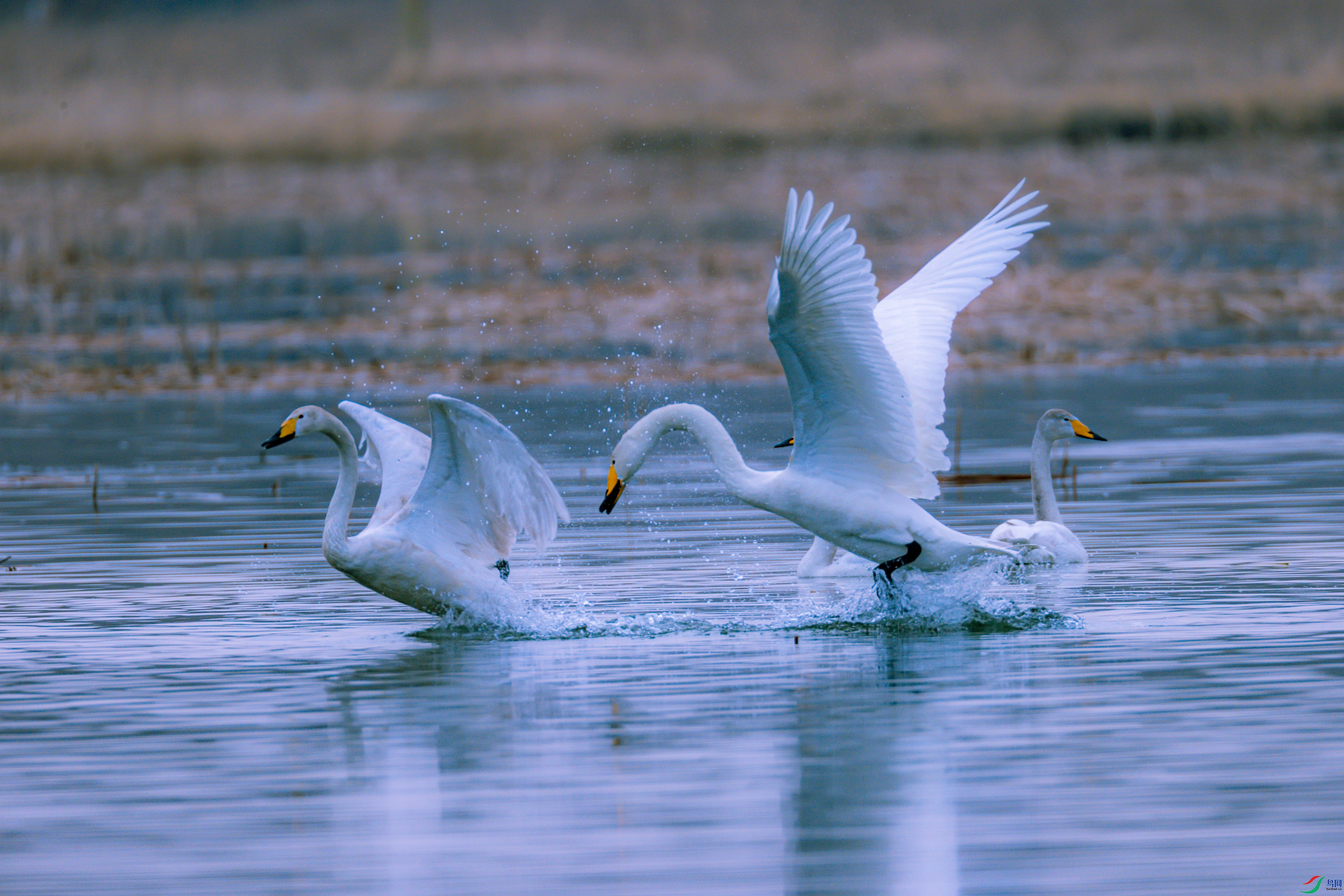 �������