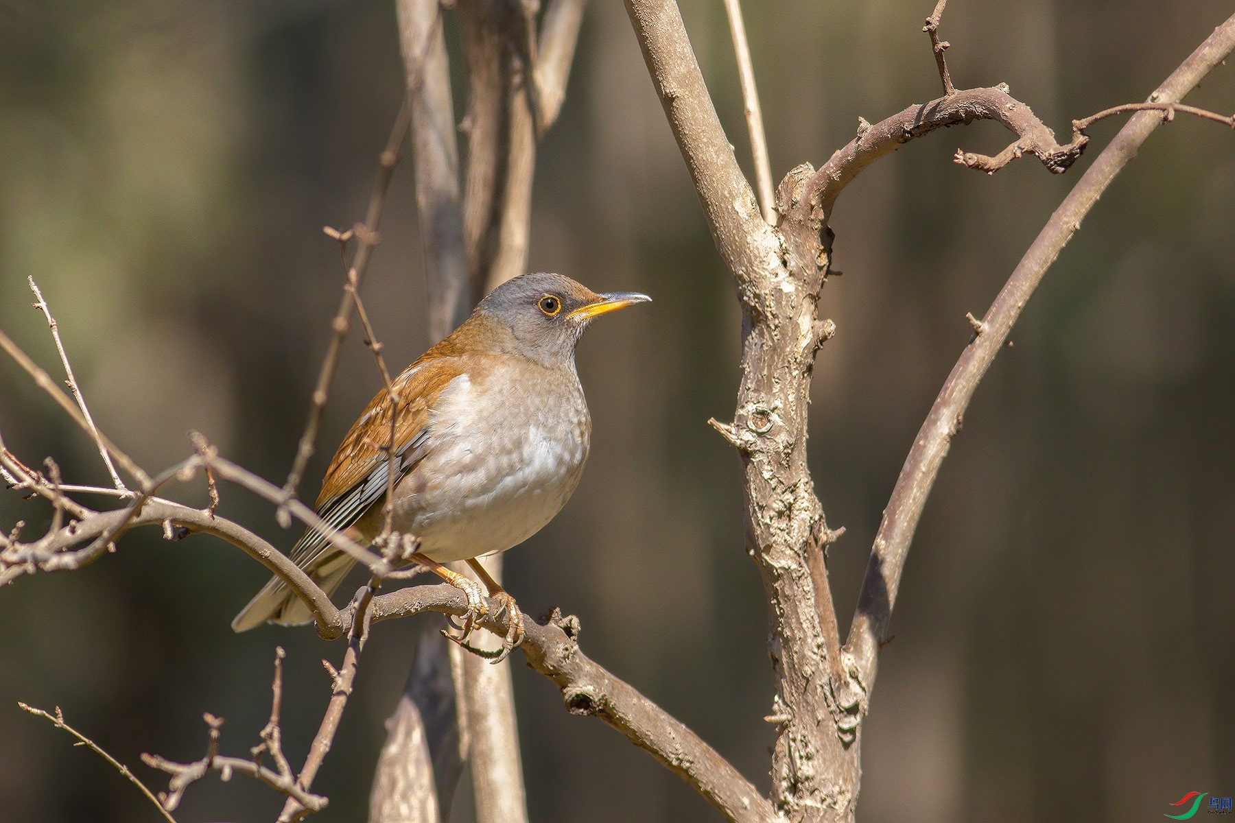 _V0A0797 �����׸��1800.jpg