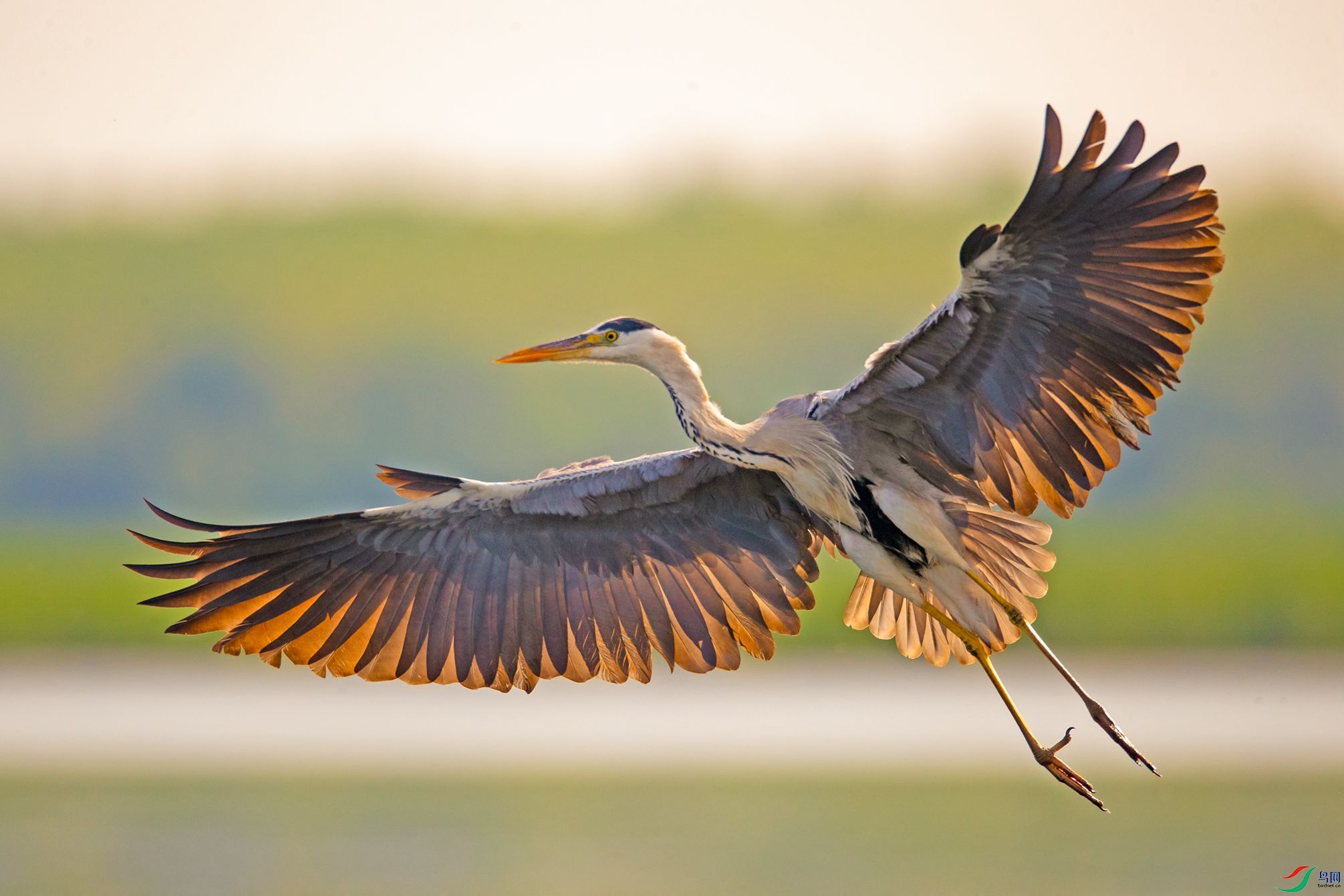 BN5I3024 ����_����.jpg