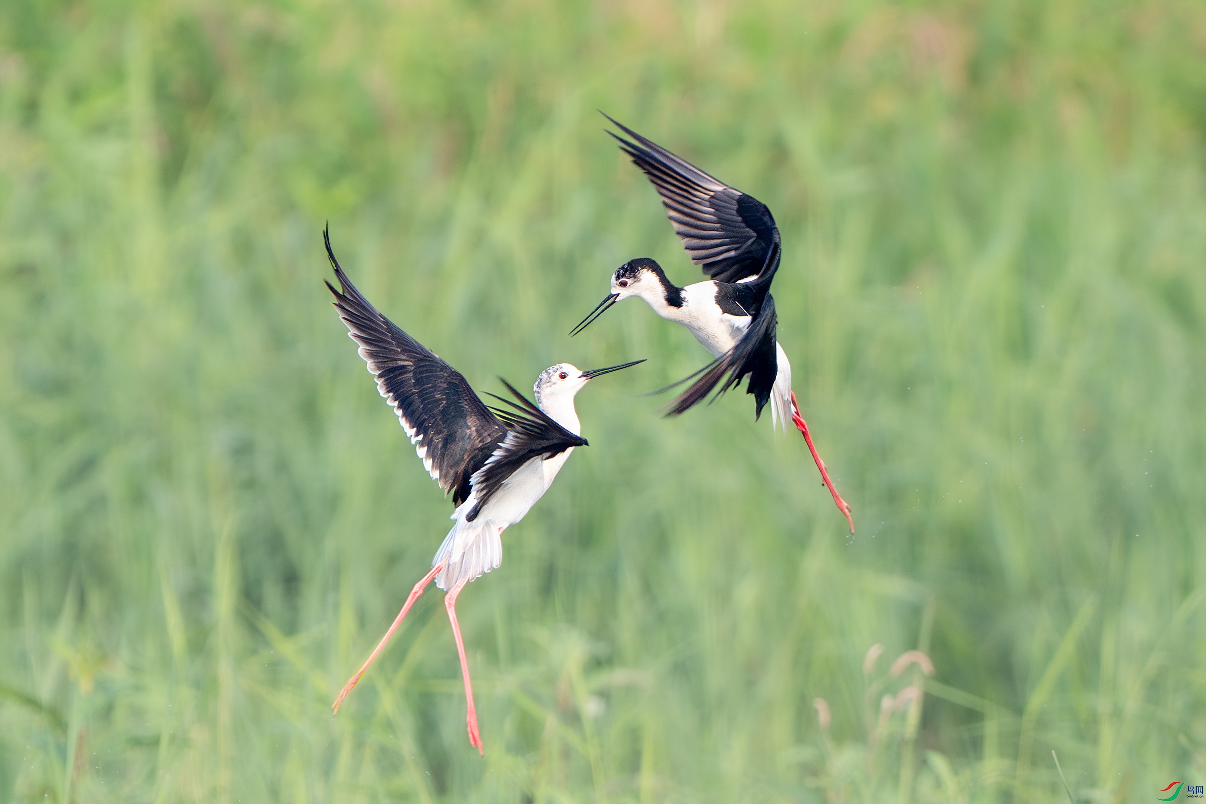 _DSC2083 ����С.jpg