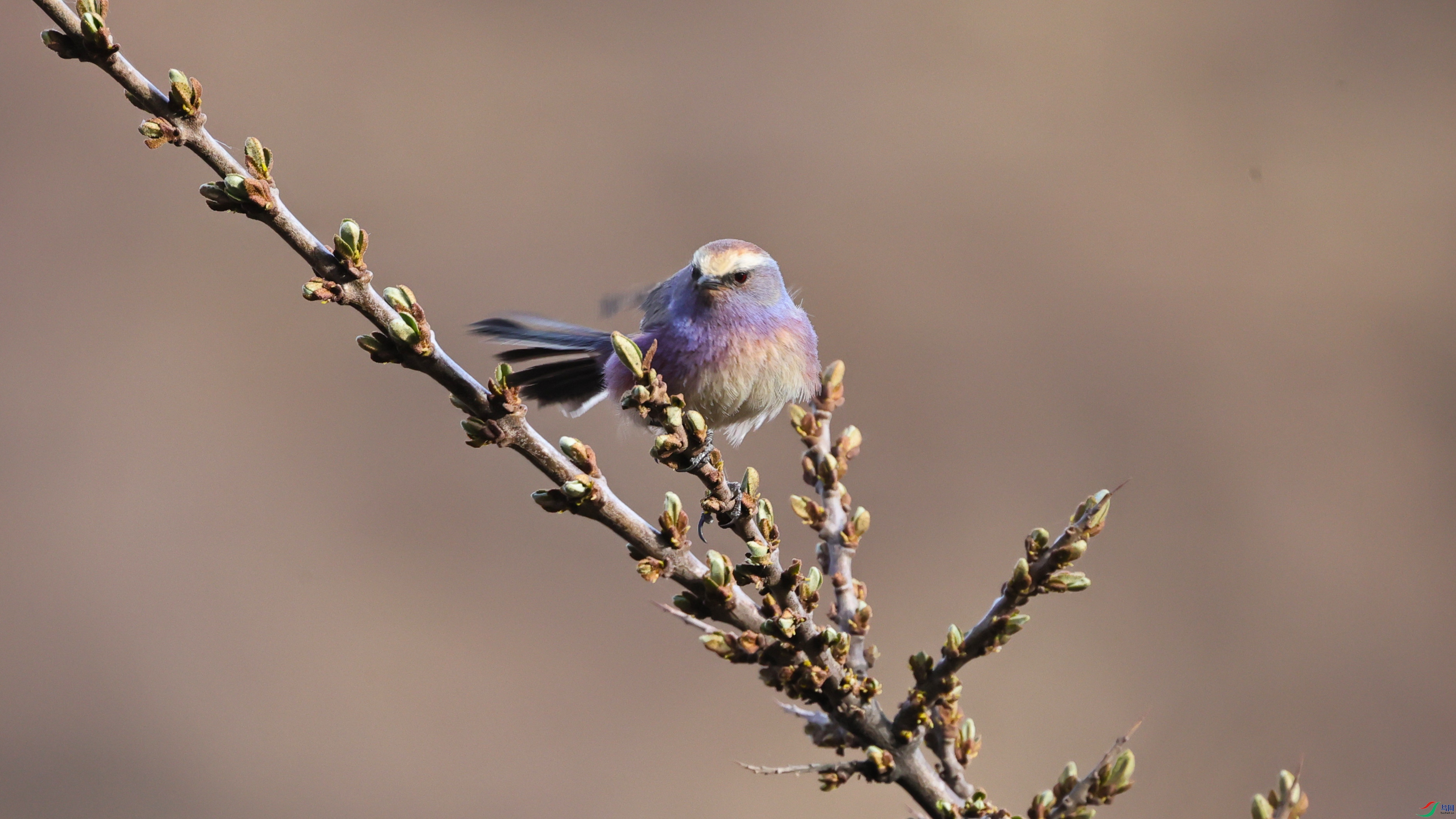 7X5A9580 ����.jpg