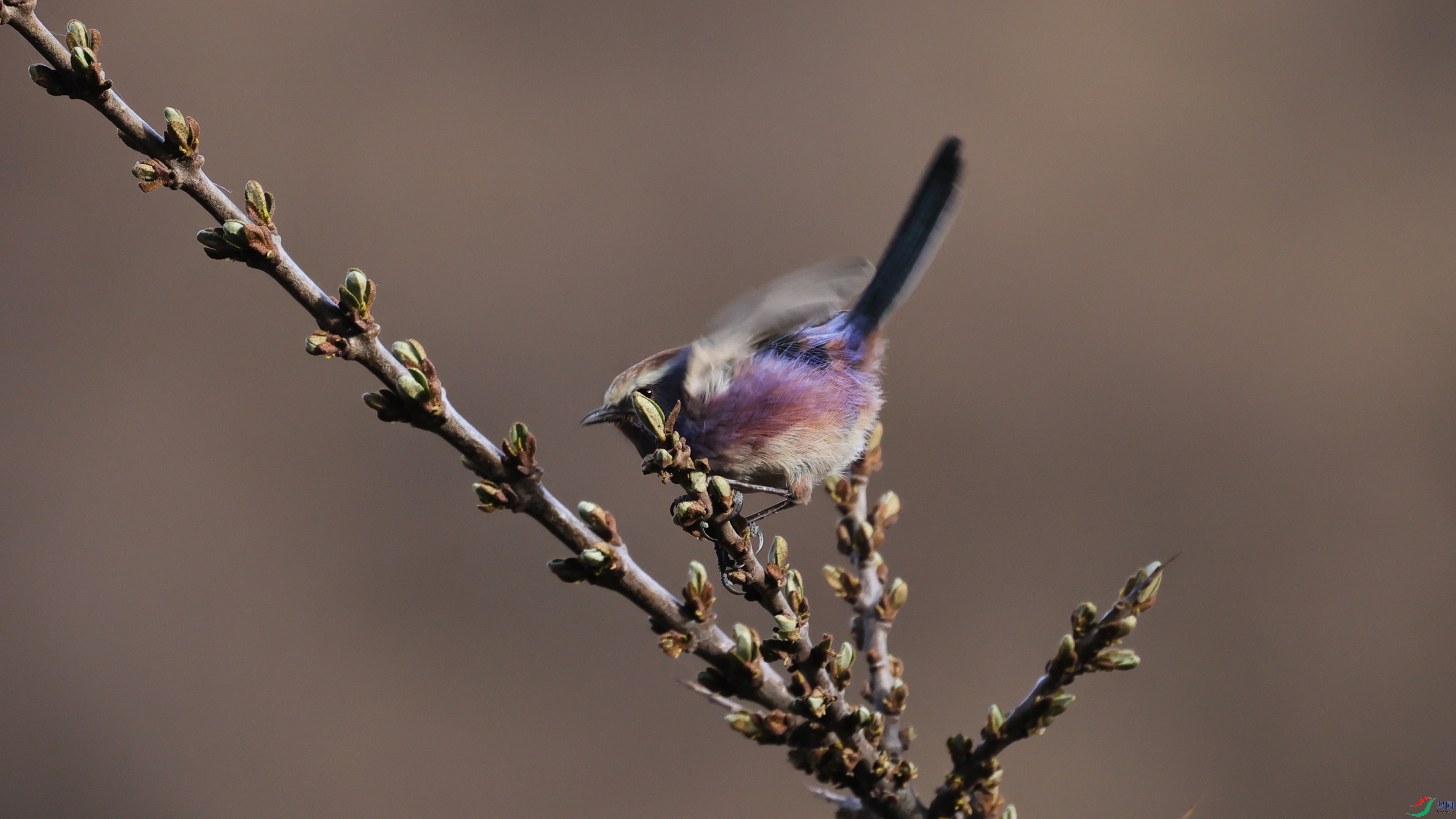 7X5A9586 ����.jpg