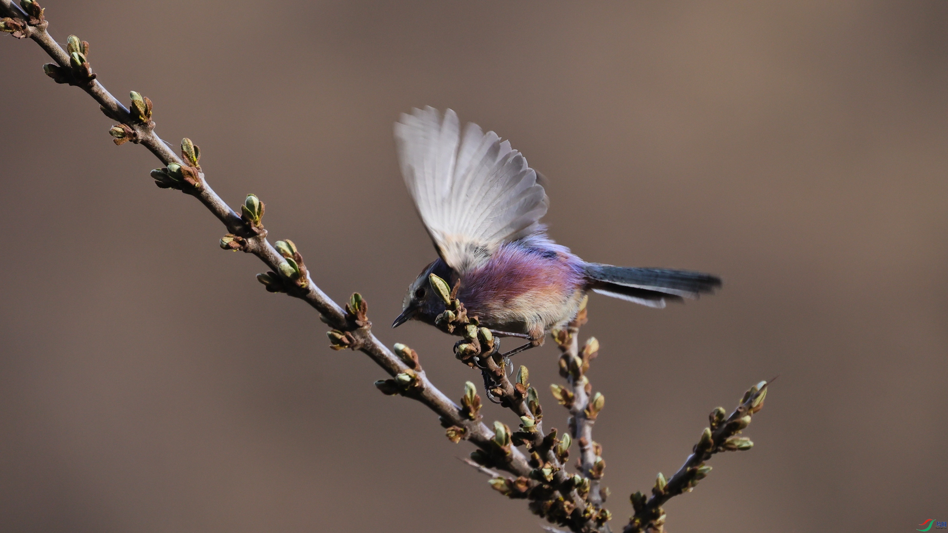 7X5A9587 ����.jpg