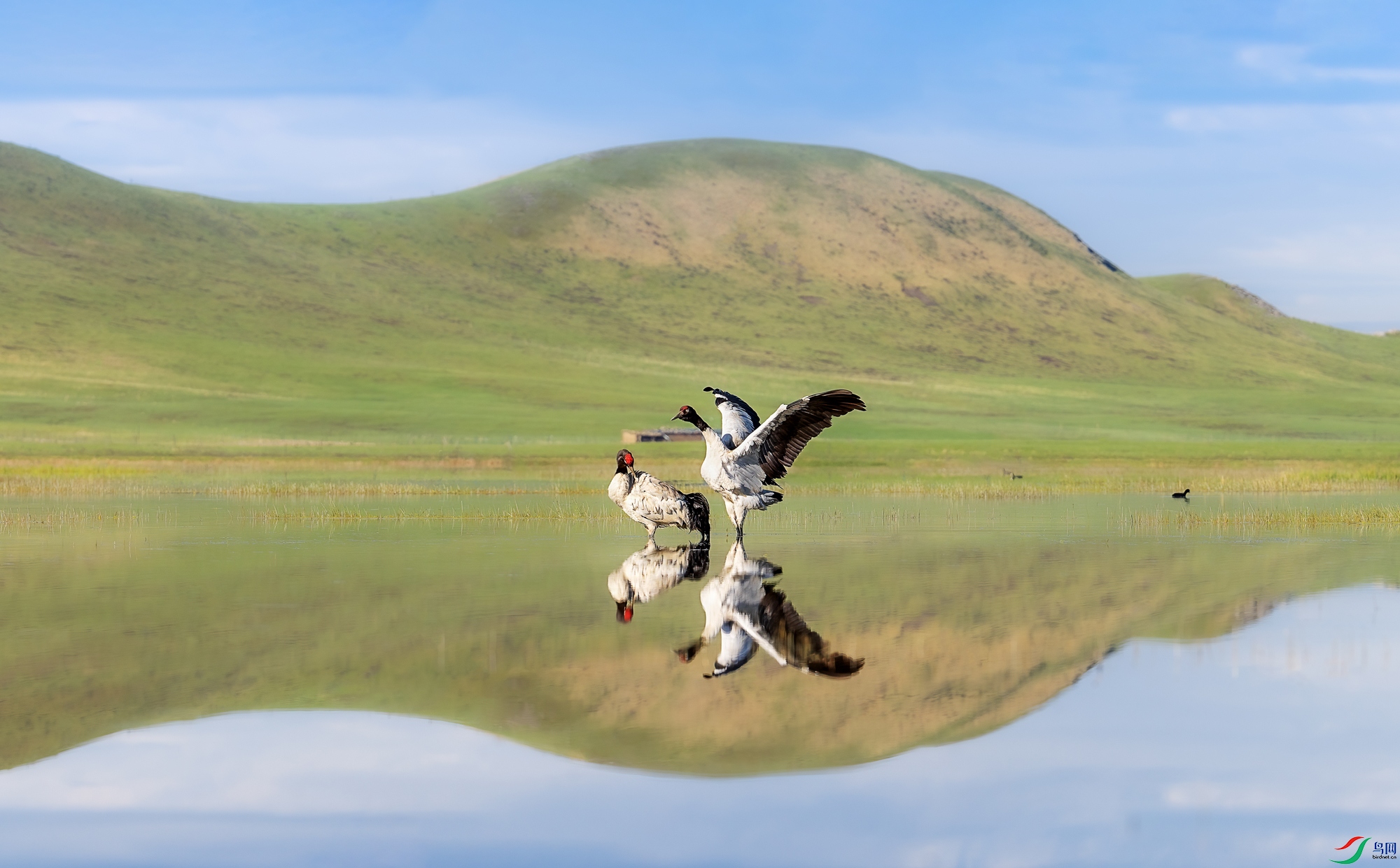 mmexport1751271931319.jpg