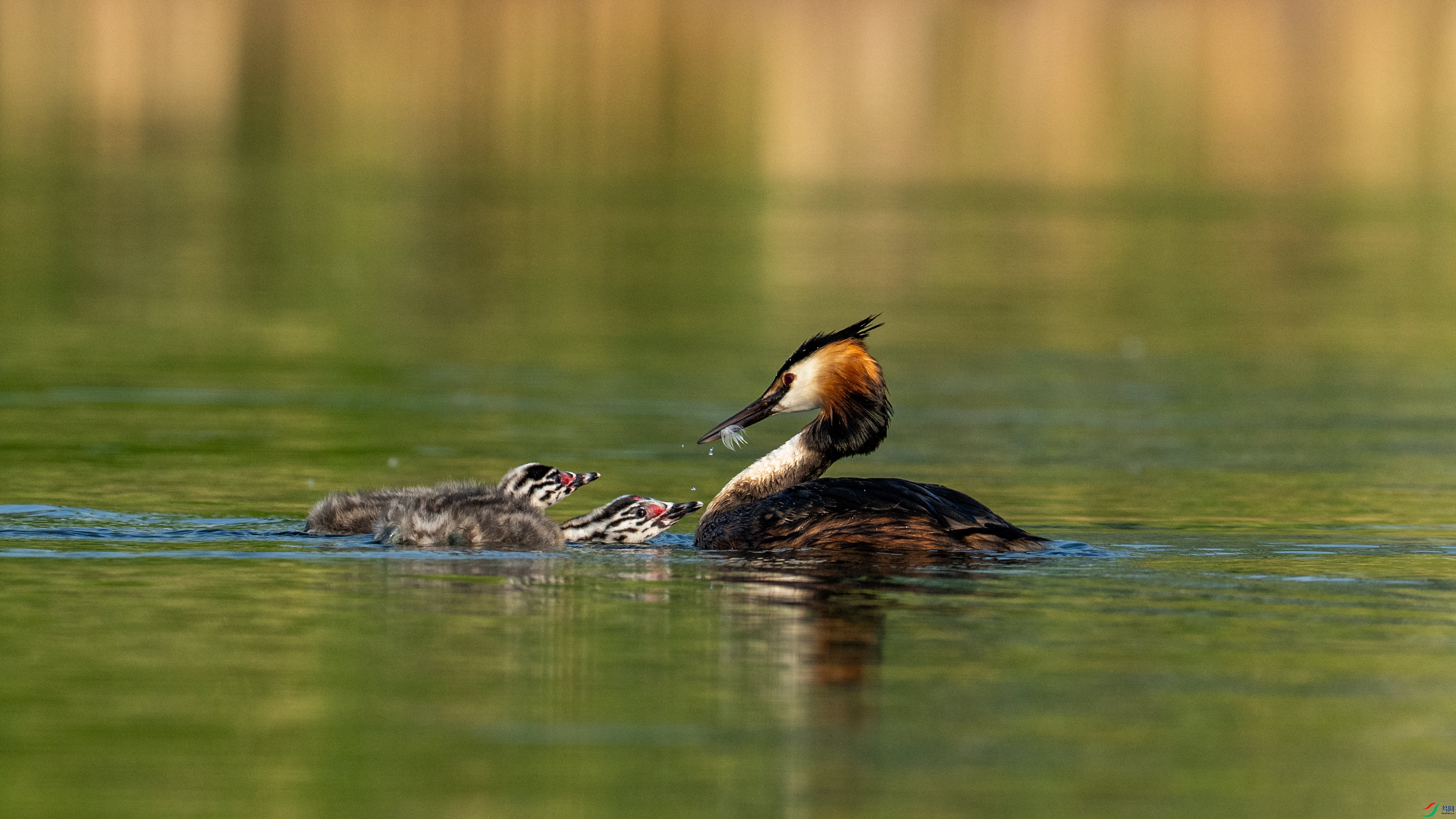 DSC_7041-�ָ���.jpg