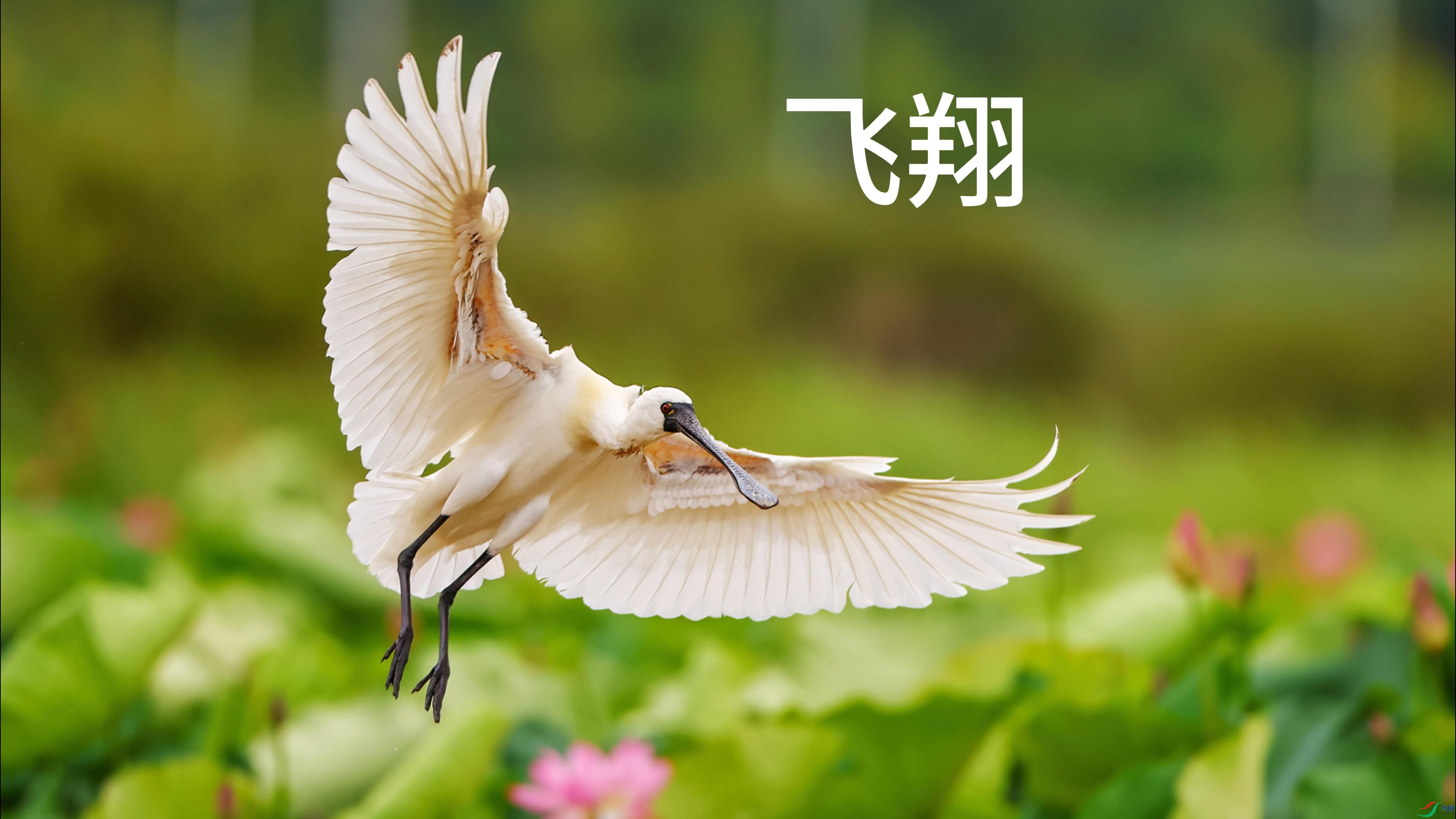 7��3�� (1)-����.jpg