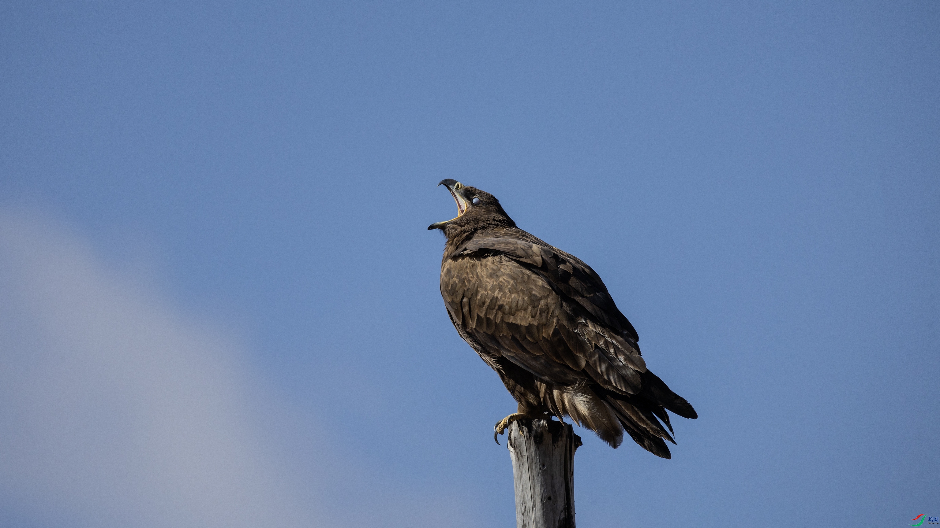 7X5A7512 ����.jpg