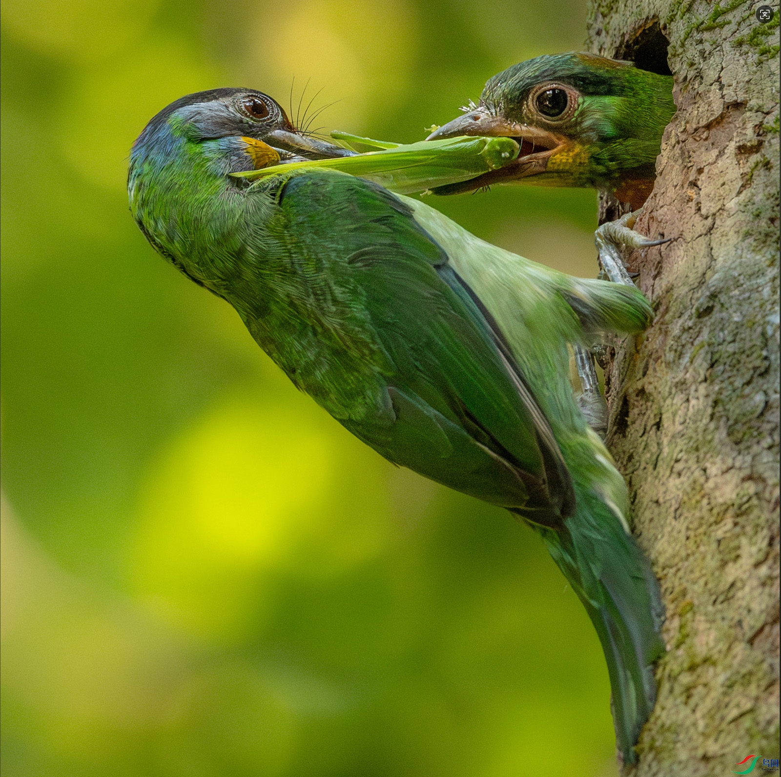 48b05bee73b40fc52702f15ec9be463 ����.jpg