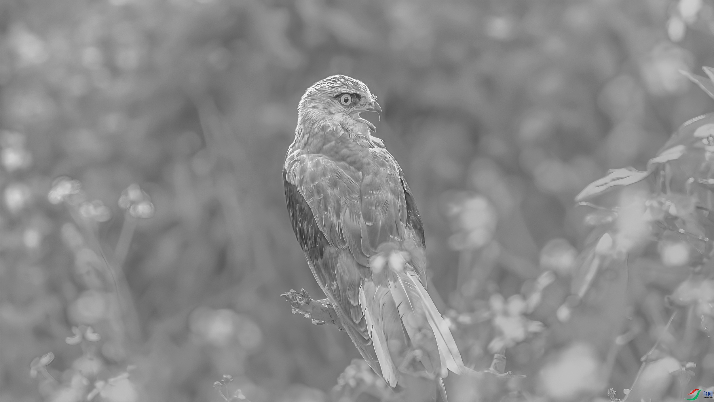 C09R9069 ����1.jpg