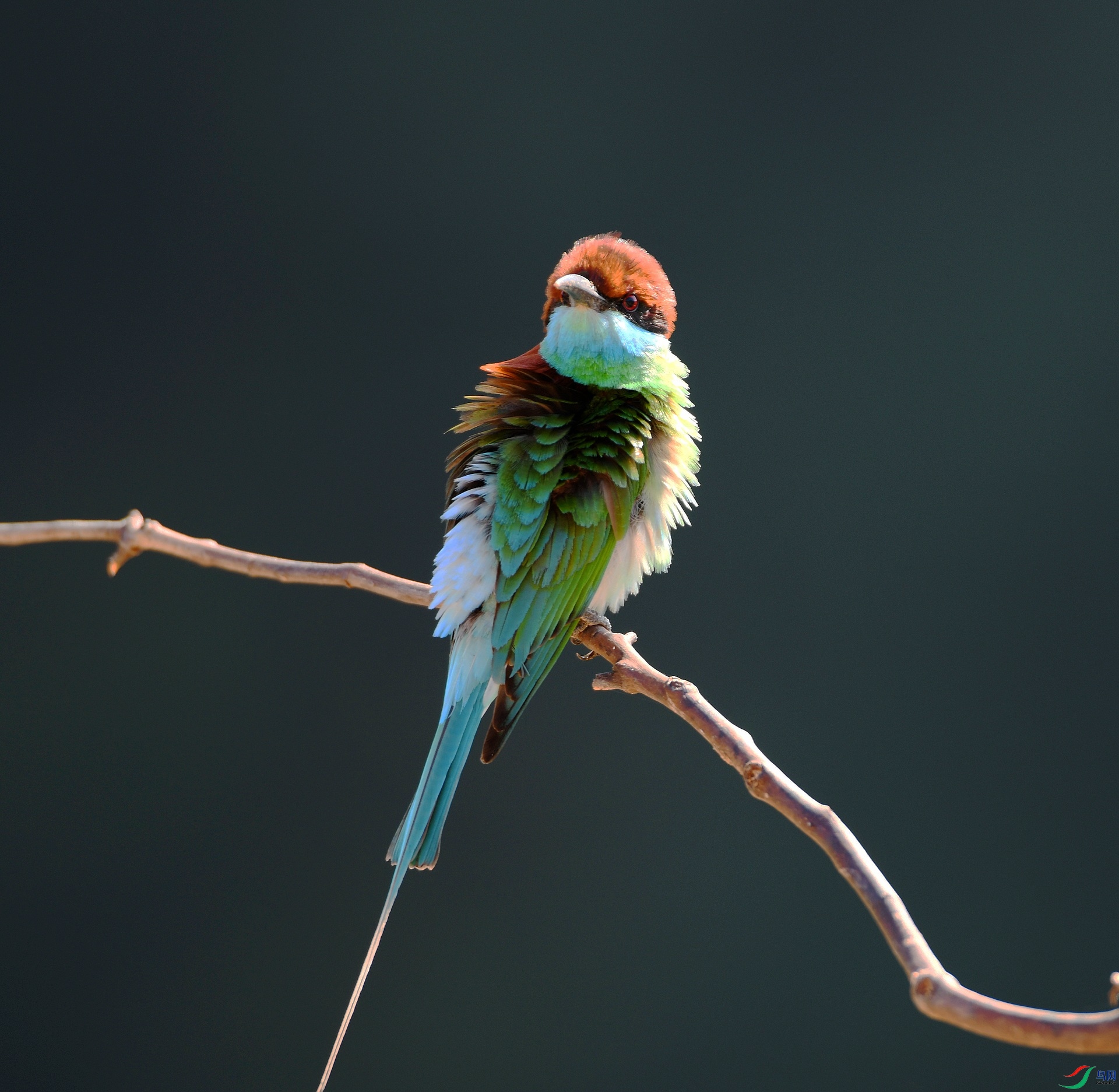 DSC_3919.jpg