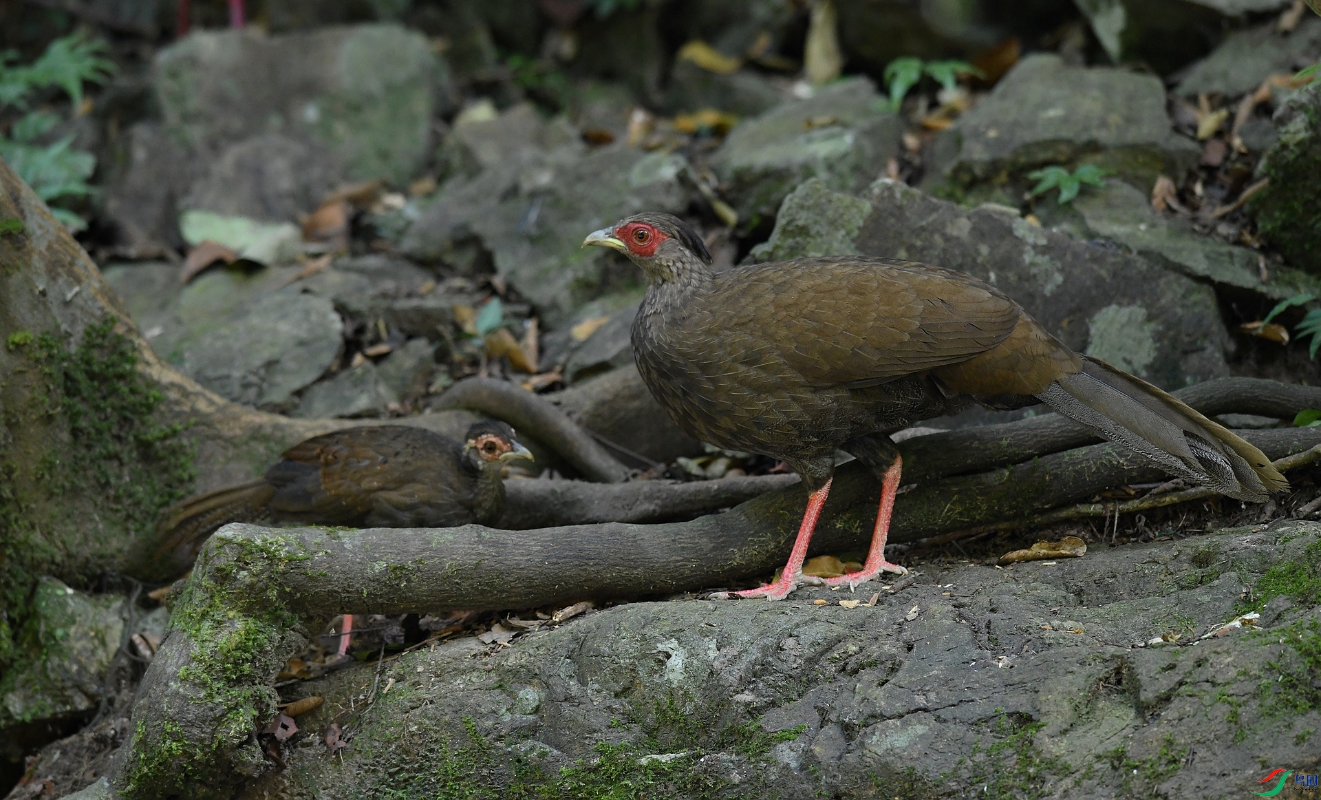 DSC_4457.jpg