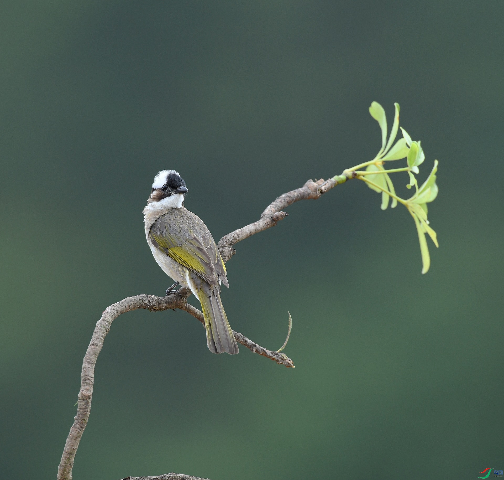 DSC_5879.jpg