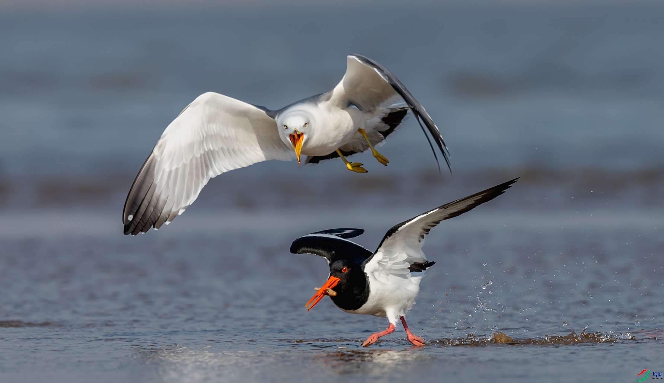 ��βŸ������