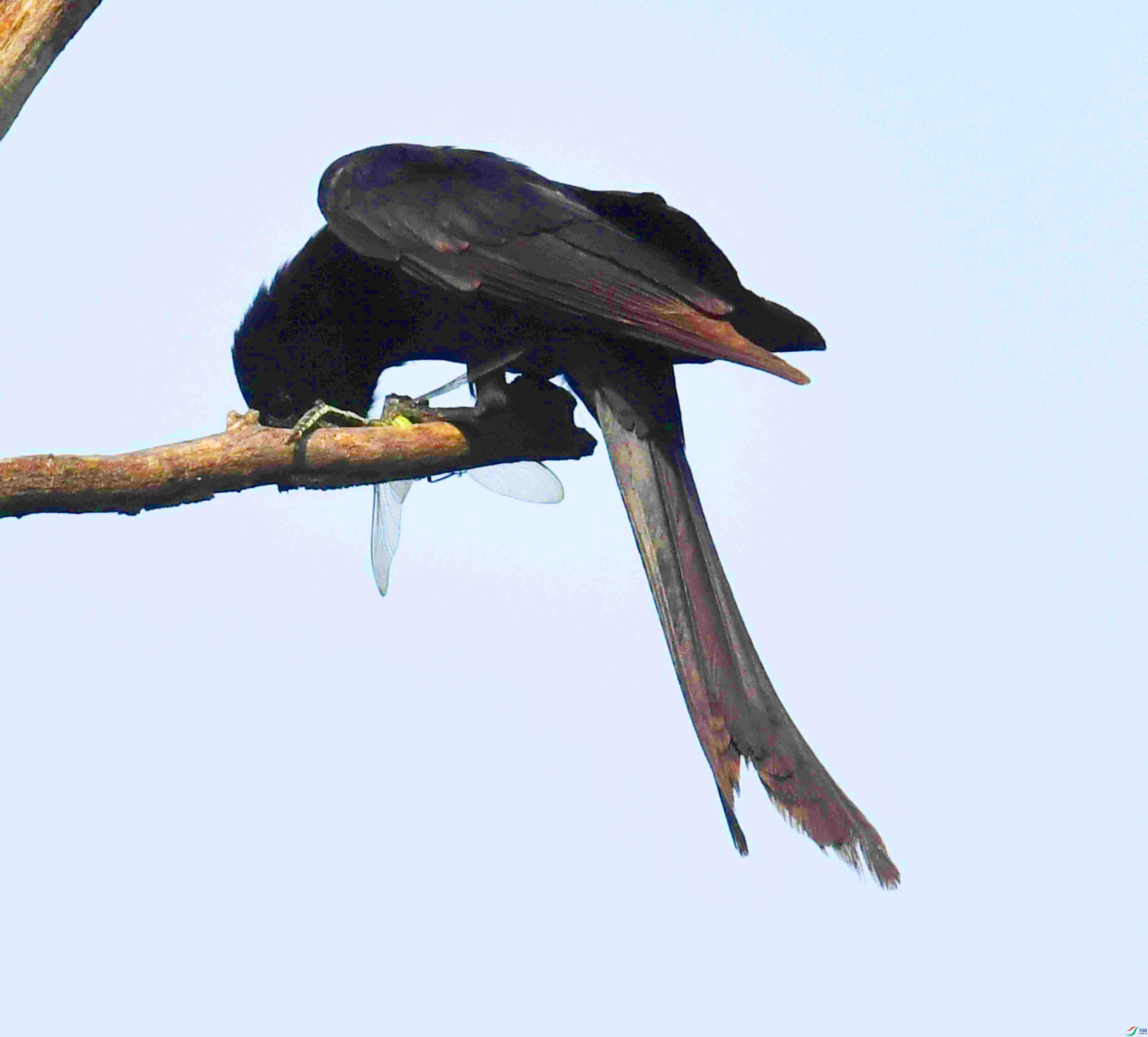 DSC_2151.JPG