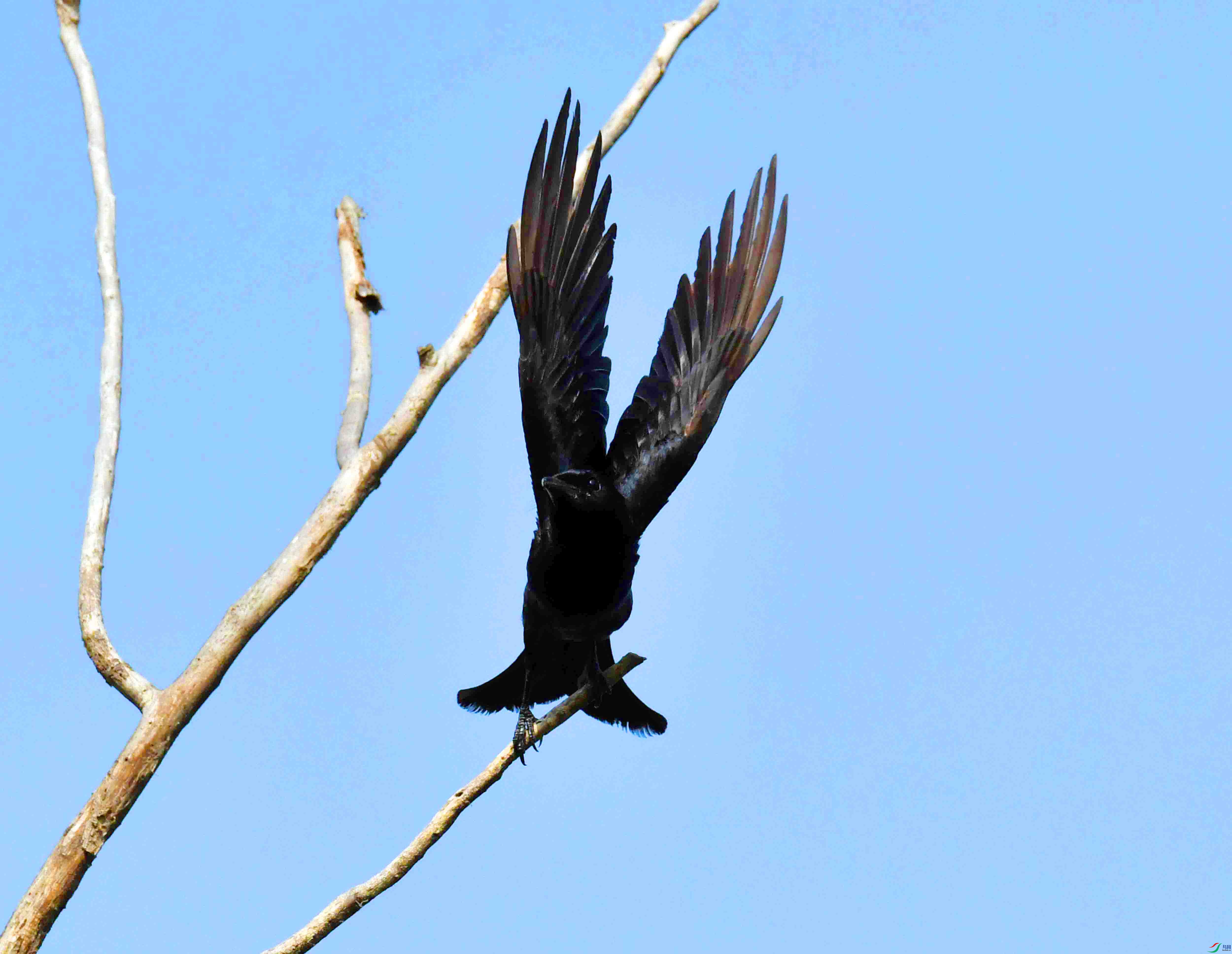 DSC_2223.JPG