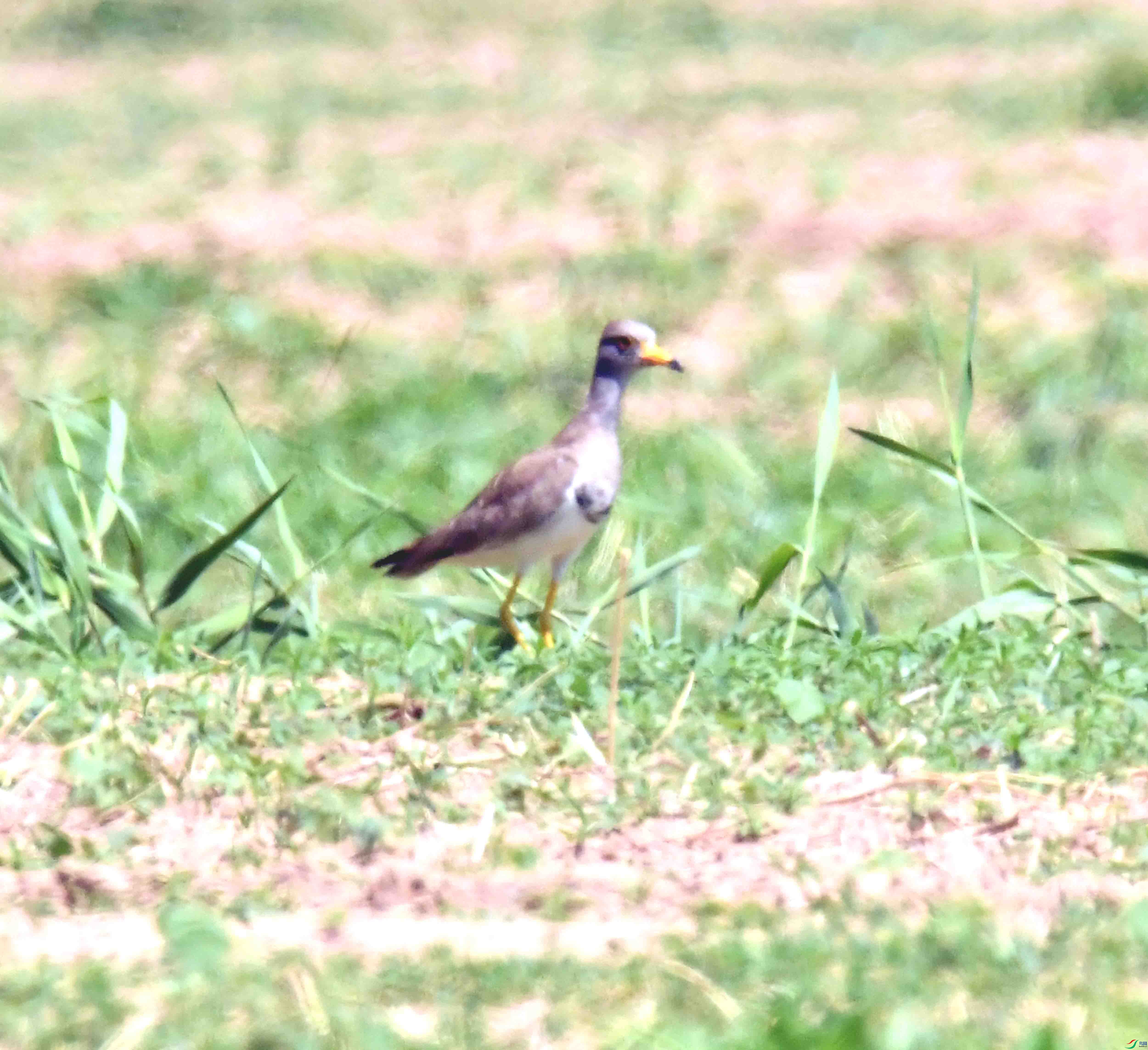 DSC_0304.JPG