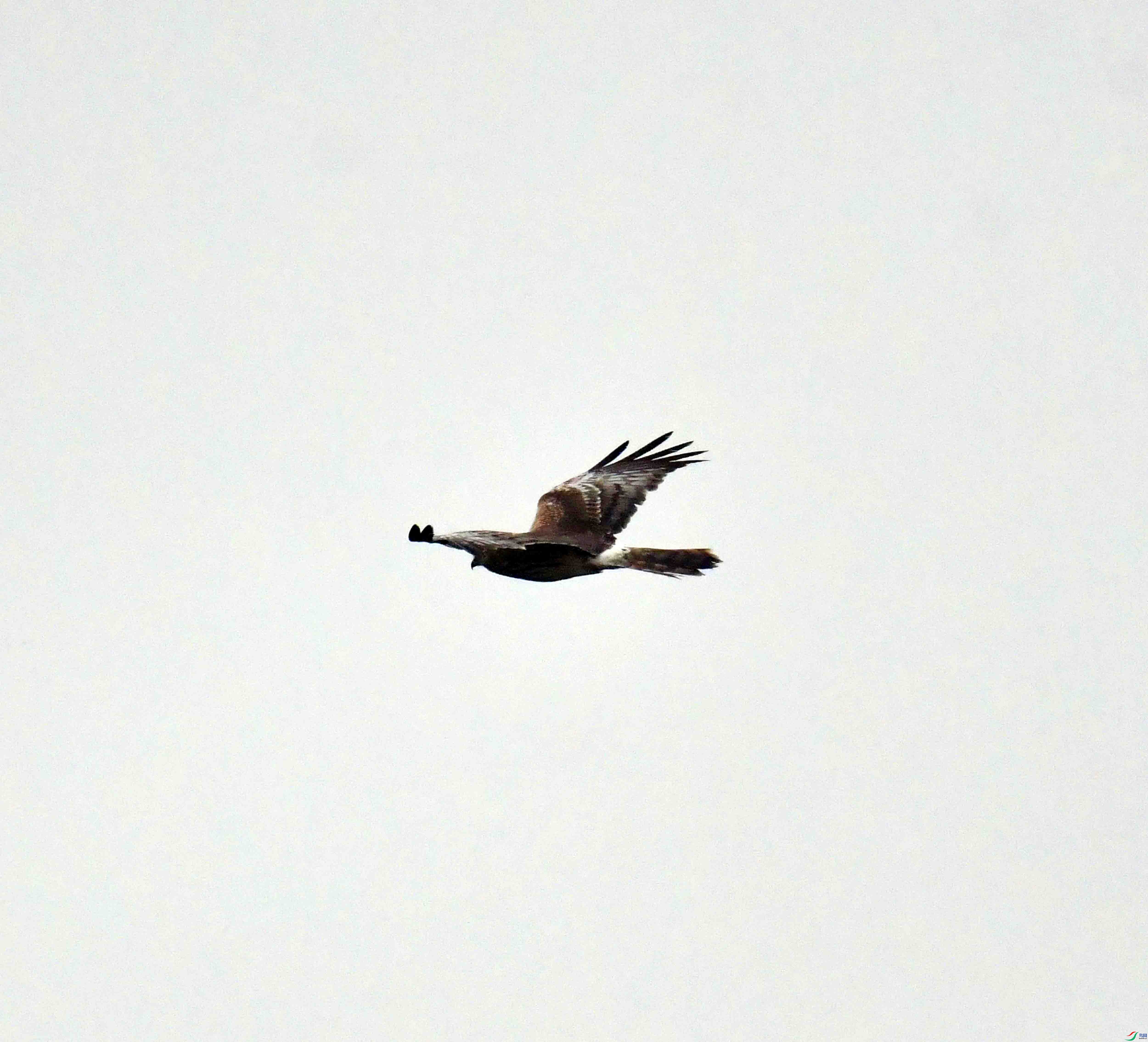 DSC_3328.JPG