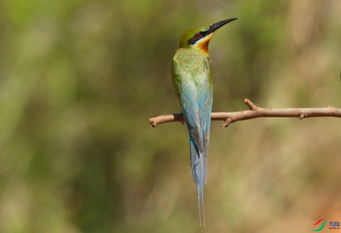 _DSC8 (1)zcz_������С.jpg