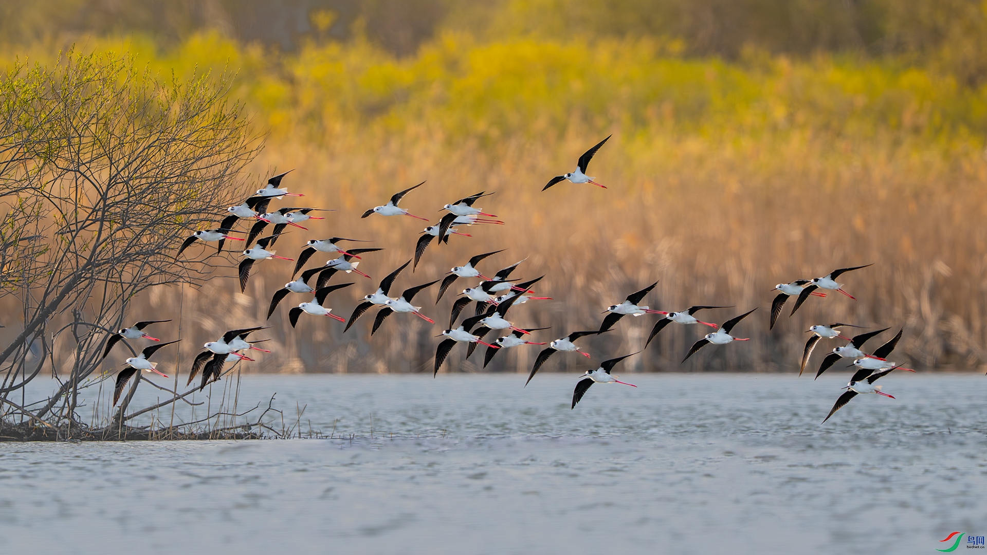 _DSC2910-����ǿ-NR ����С.jpg