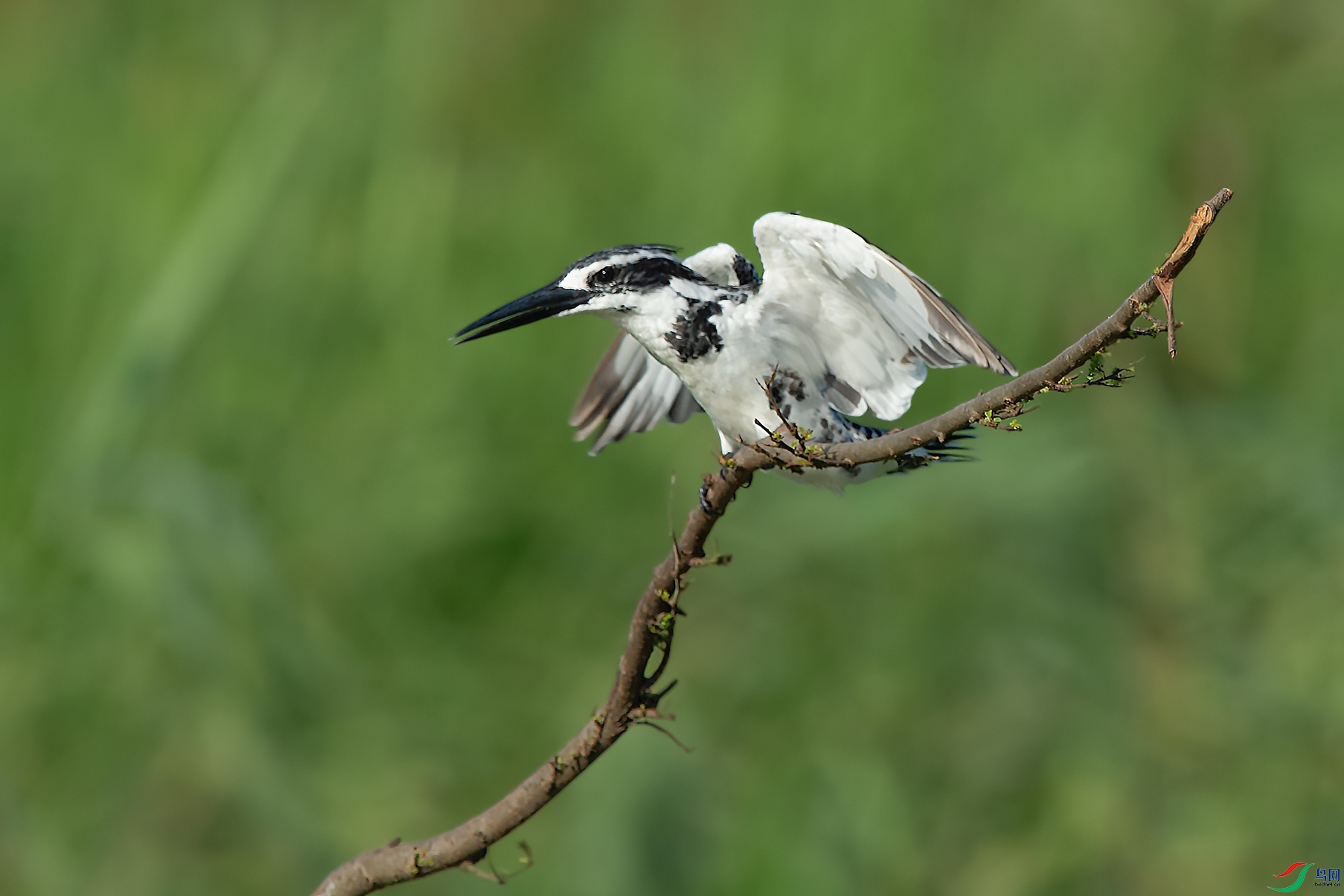 2DSC_3730_DxOa.jpg