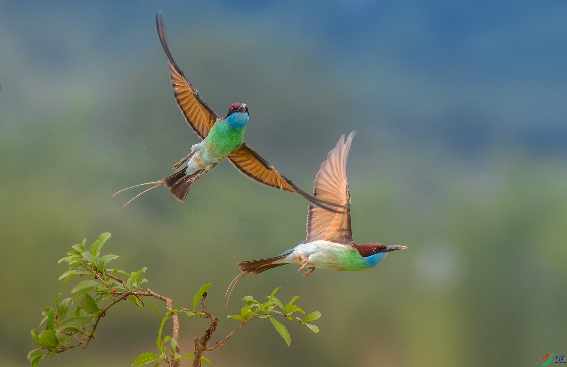����DSC_0741.jpg