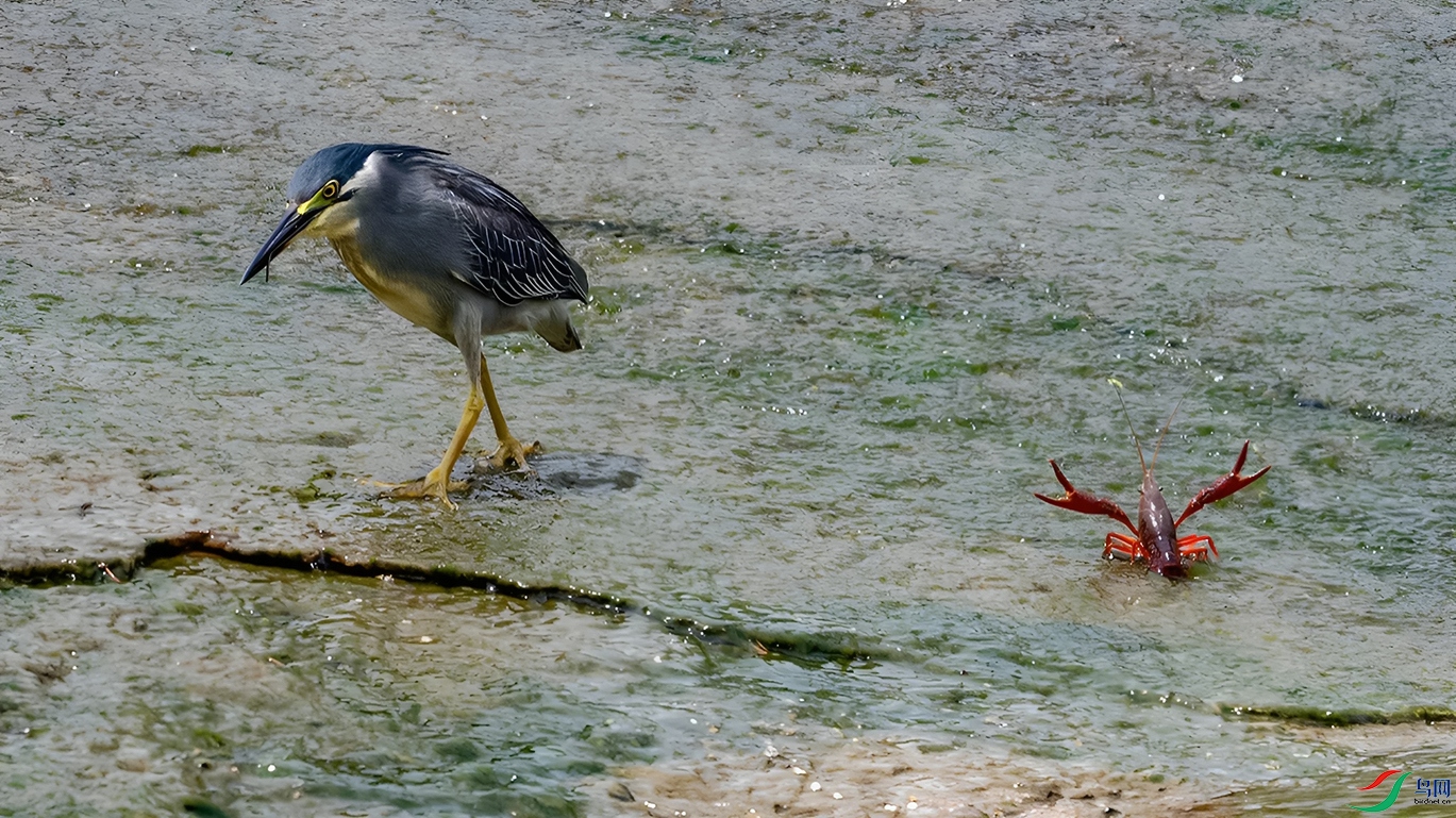 DSC_2959=.jpg