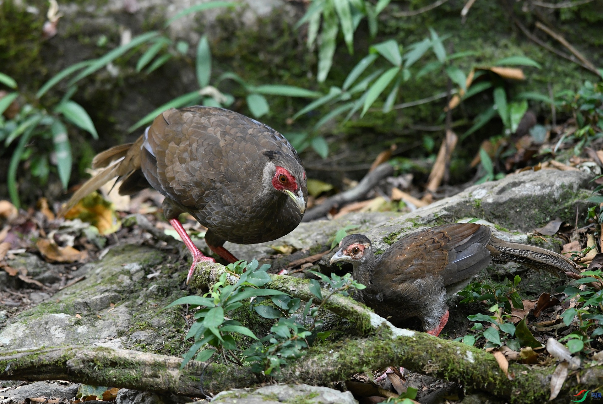 DSC_4399.jpg