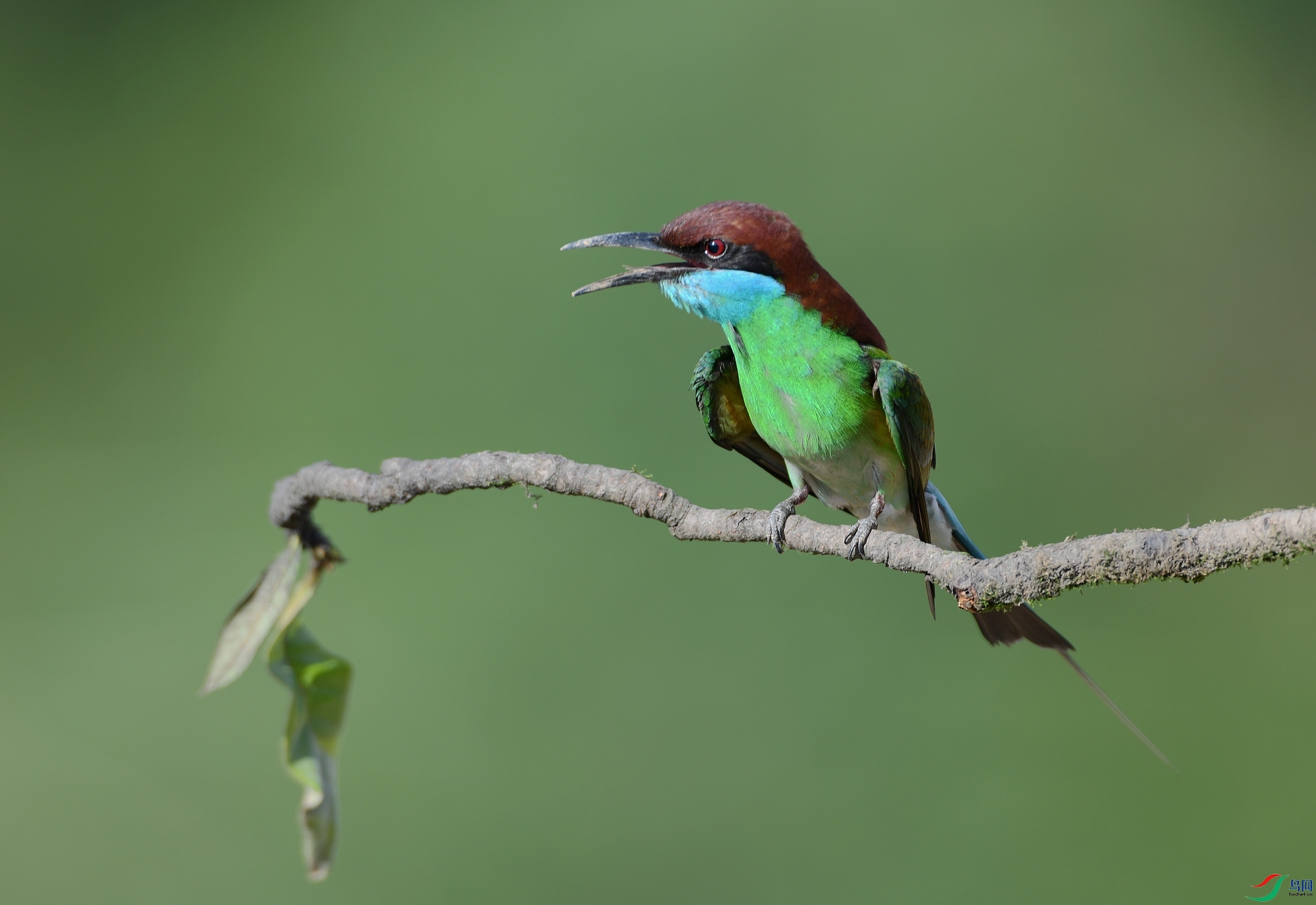 DSC_5916.jpg