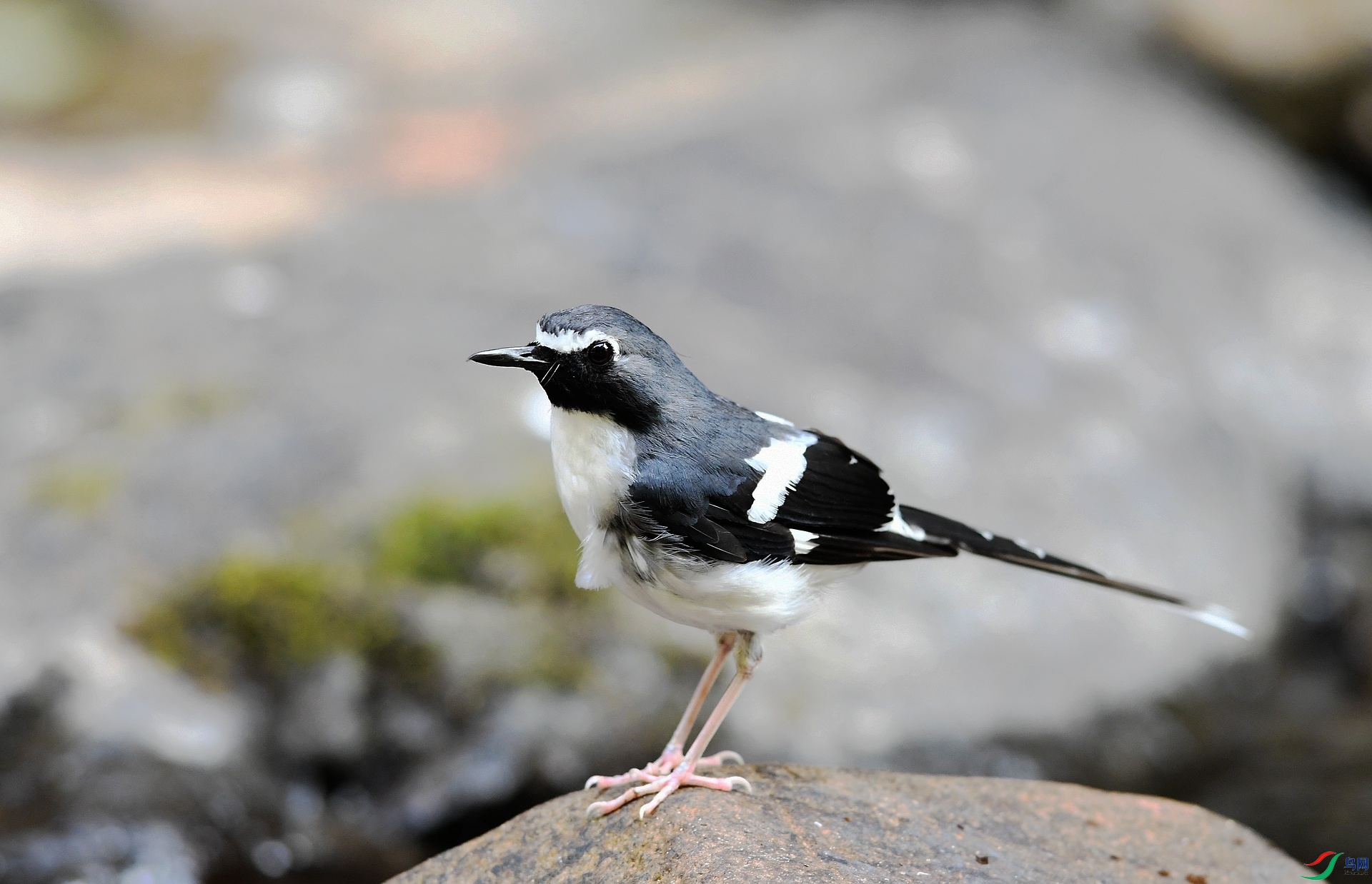 DSC_4790.jpg