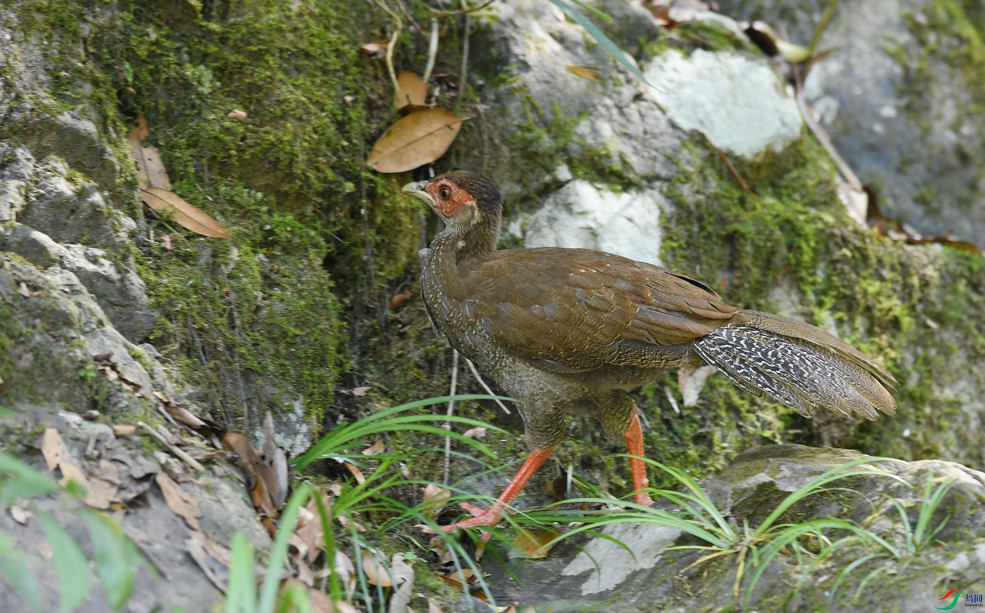 DSC_4262.jpg