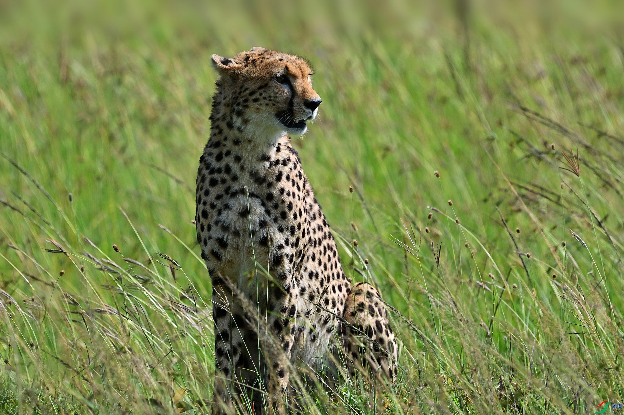 DSC_5692_.jpg