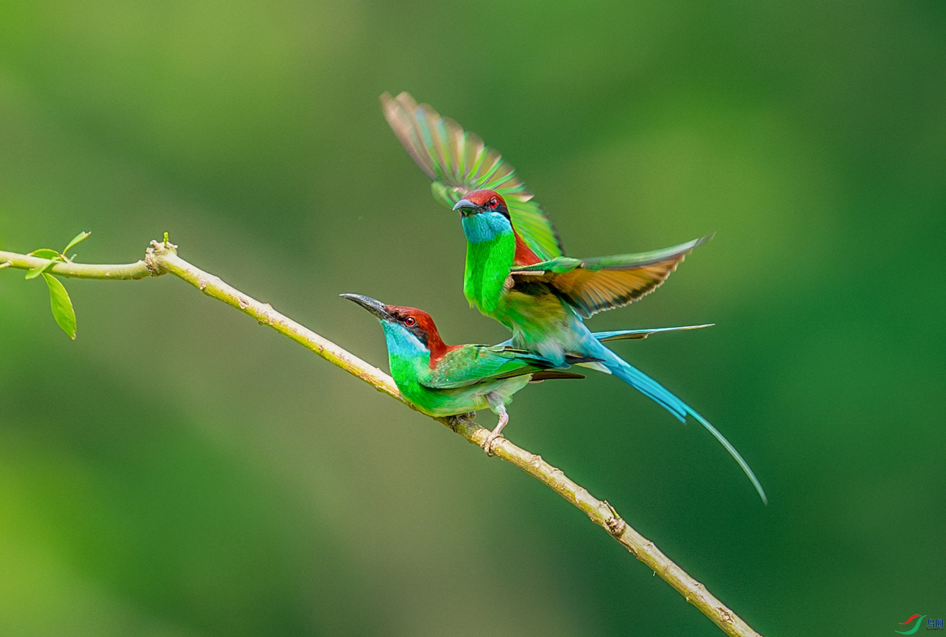 DSC_1575-����ǿ-NR.jpg