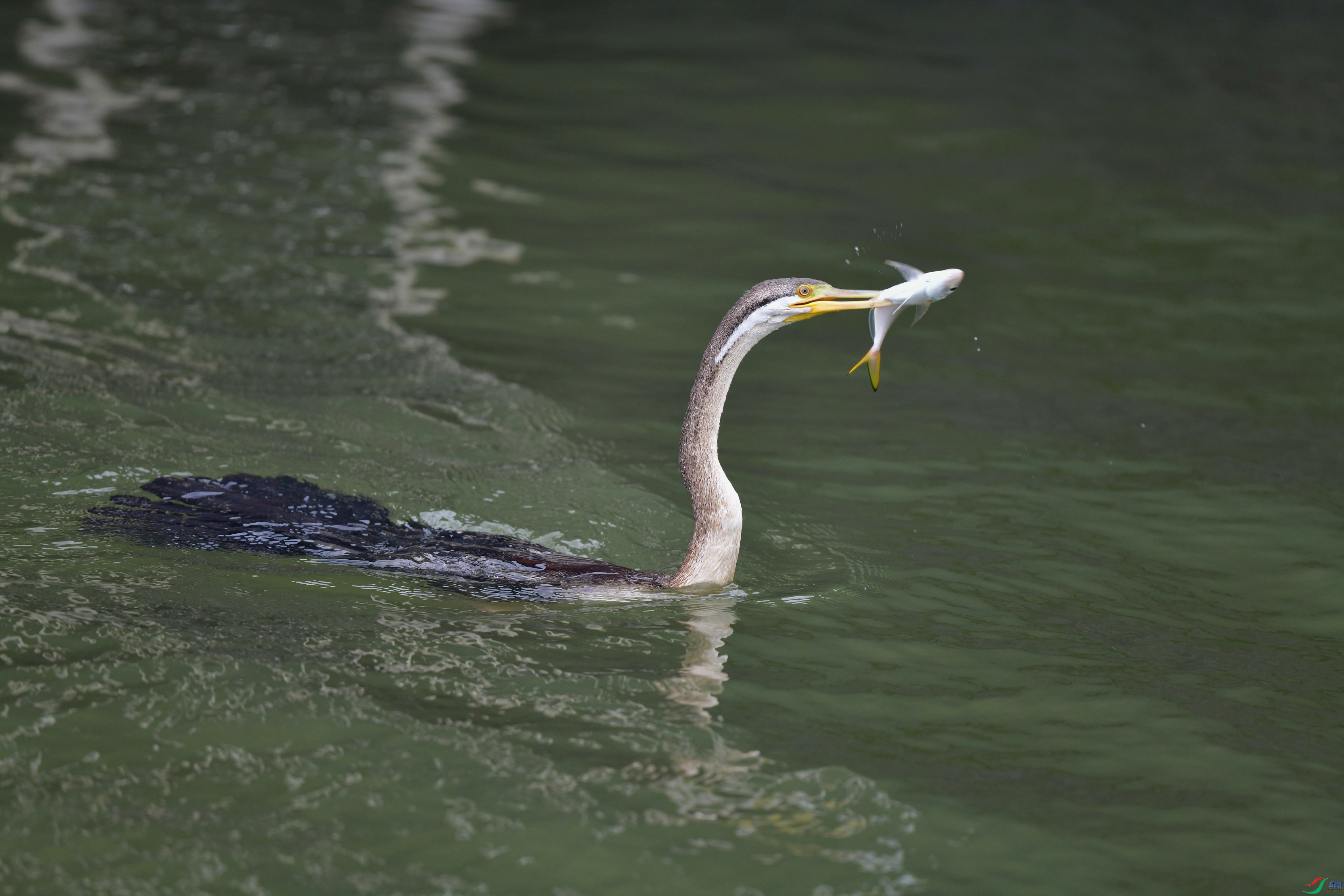 DSC_7222_��ͼ��_����.jpg