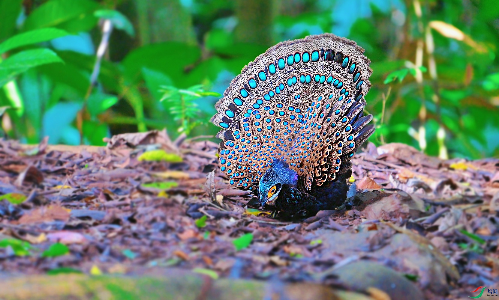 {F0AF5611-9CA2-4C7D-8964-4F84A040509A} ����.jpg