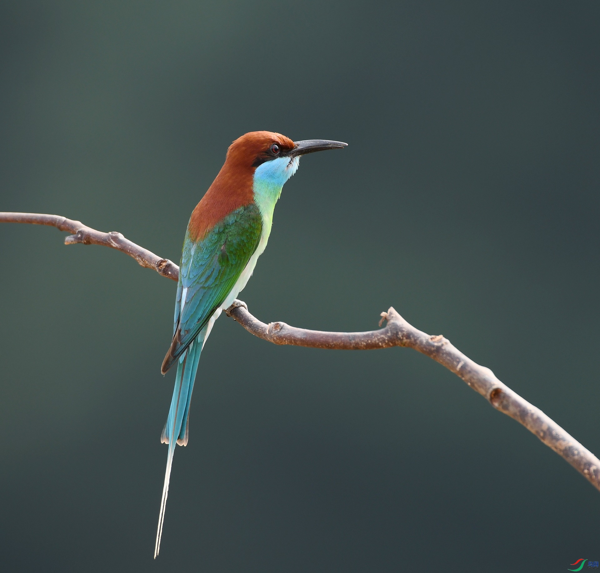 DSC_6717.jpg