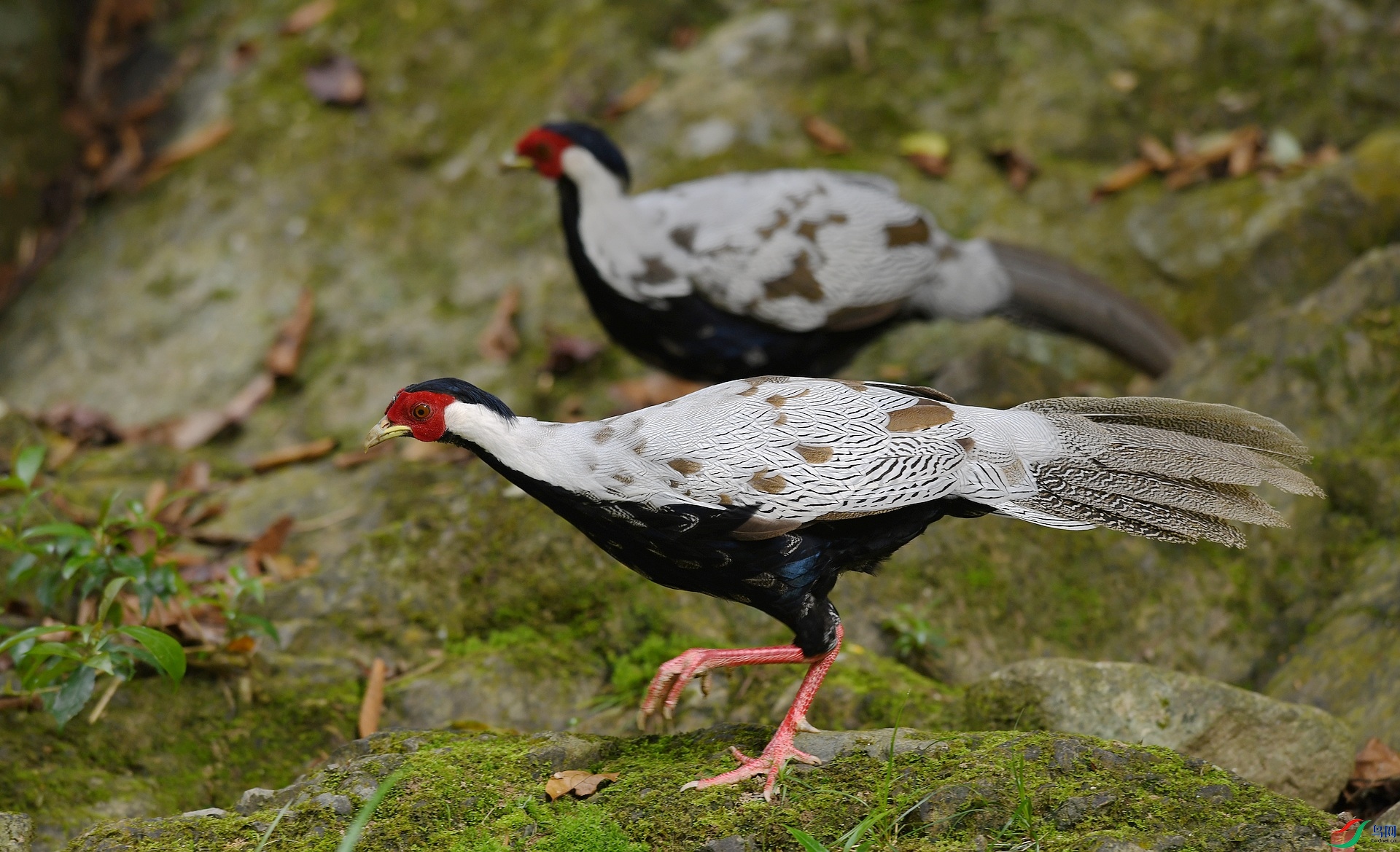 DSC_6696.jpg