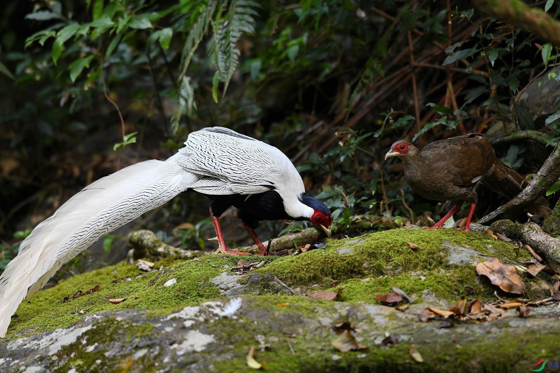 DSC_7142.jpg
