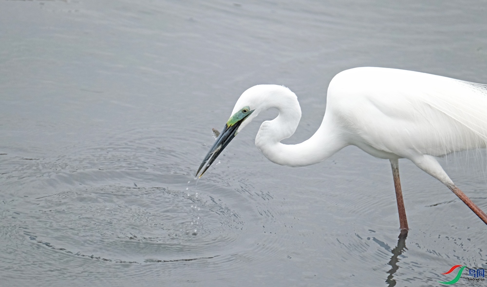 DSCF8653.1.jpg